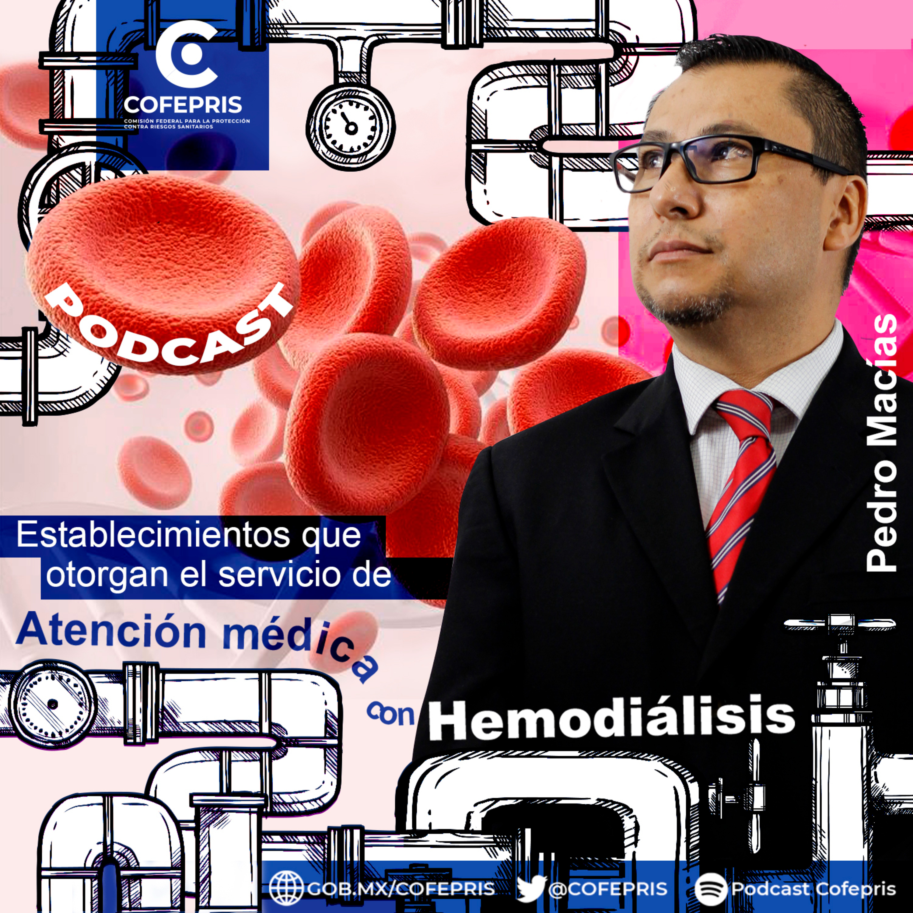 51 Establecimientos que proporcionan servicio de Atención Médica con Hemodiálisis