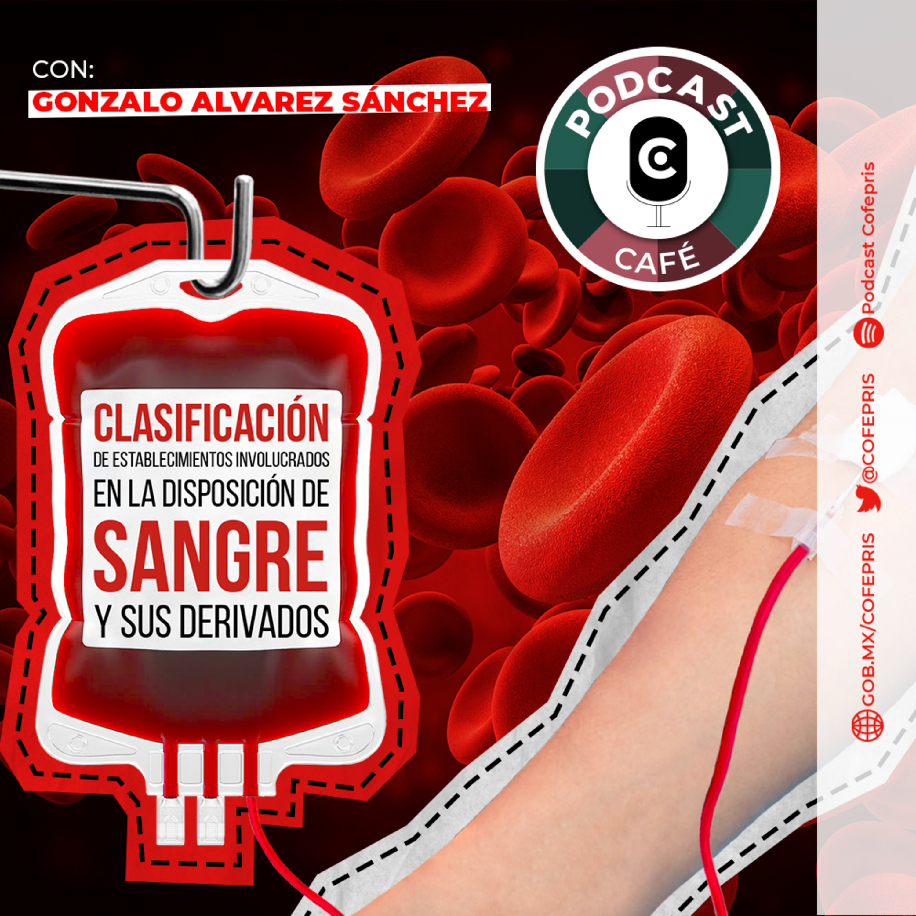 Podcast Café: Clasificación de establecimientos involucrados en la disposición de sangre y sus derivados