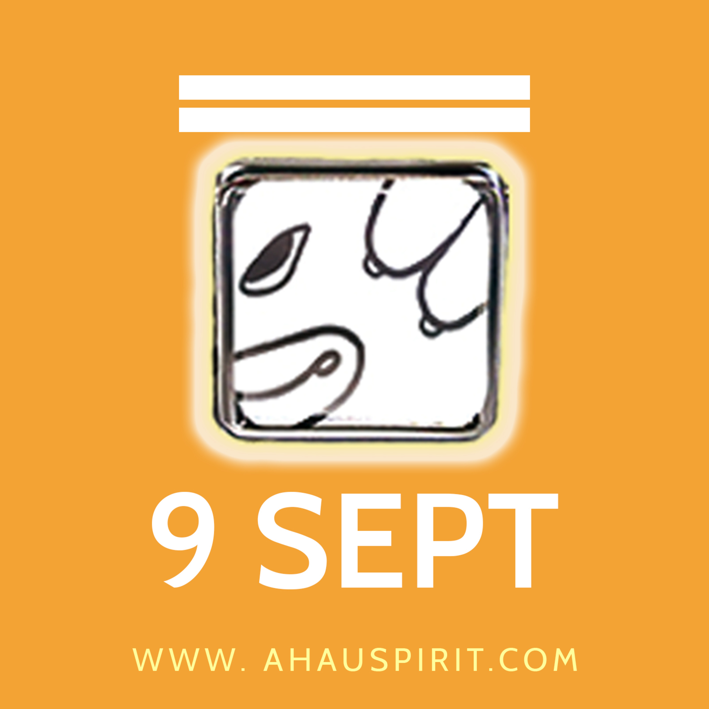 Meditación con el Calendario Sagrado Maya Revolucionado con la Venerable Abuela Nah Kin