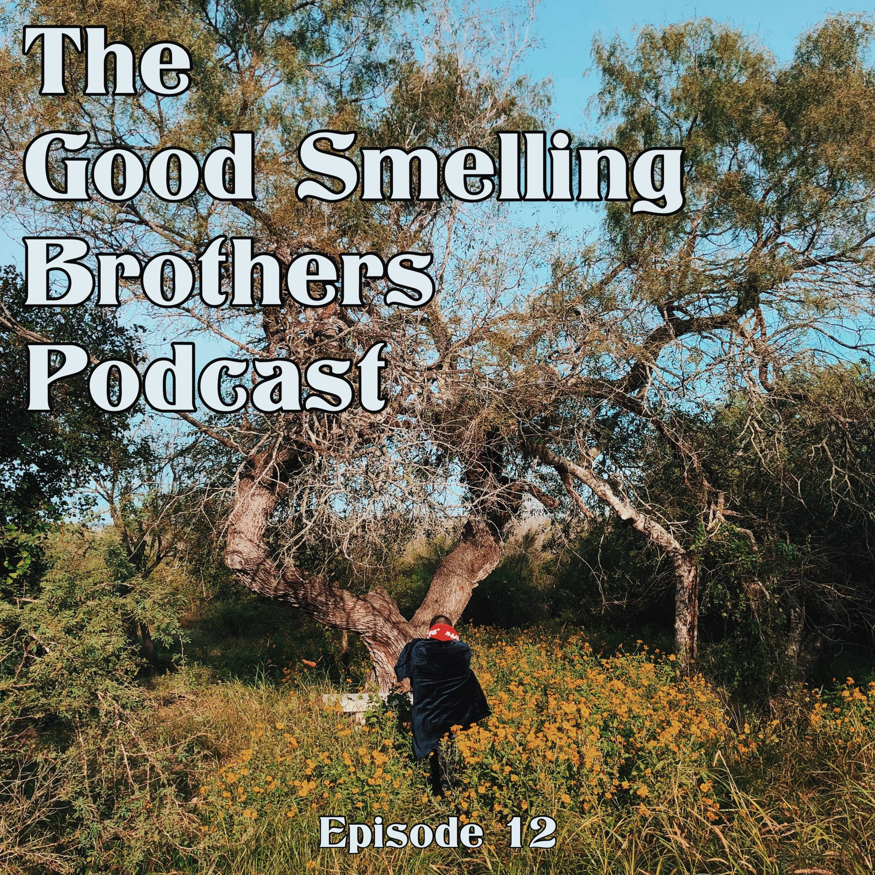 The Good Smelling Brothers Podcast Ep.12 "Transitions" episode artwork
