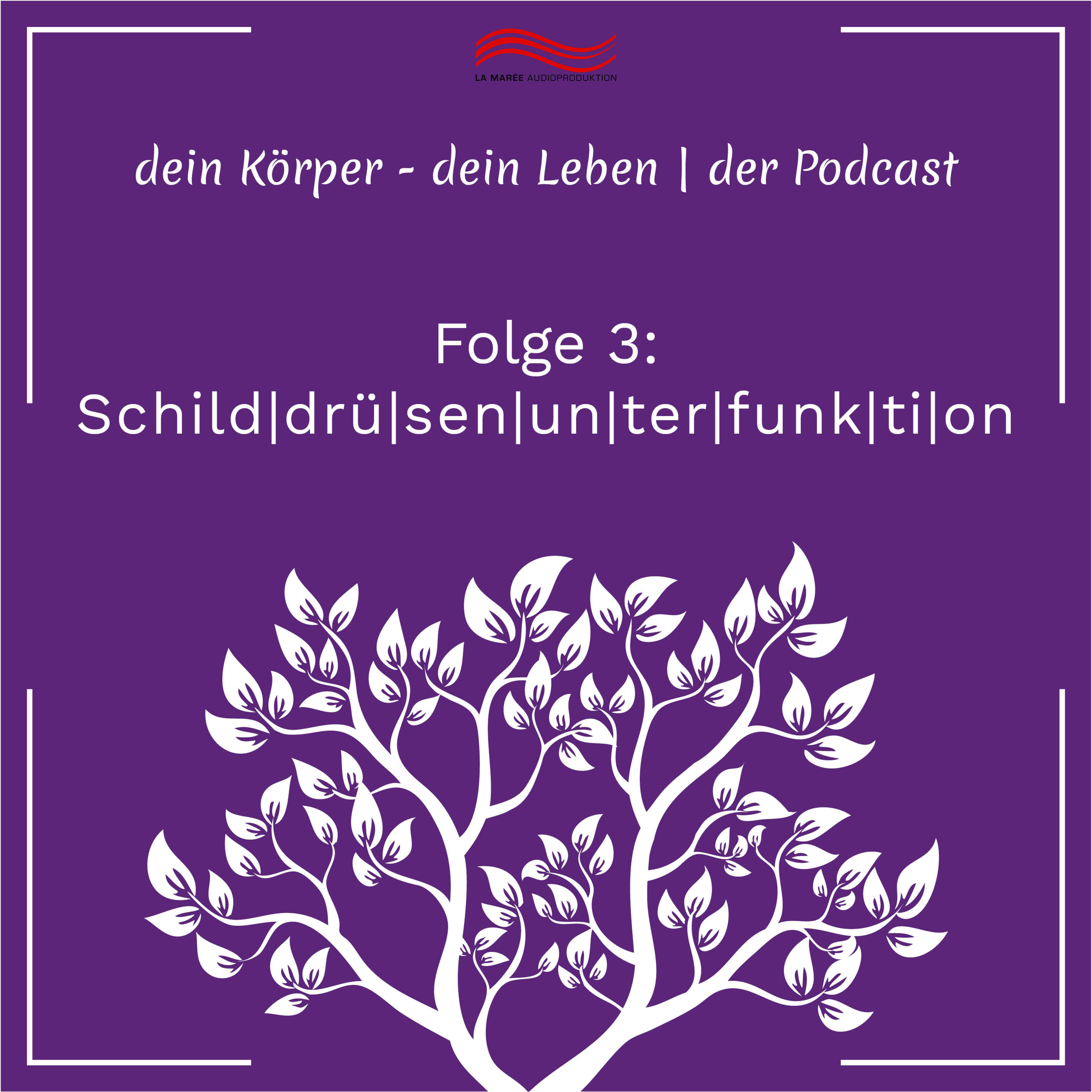 Schilddrüsenunterfunktion ≠ Schilddrüsenunterfunktion (Hashimoto Thyreoiditis)