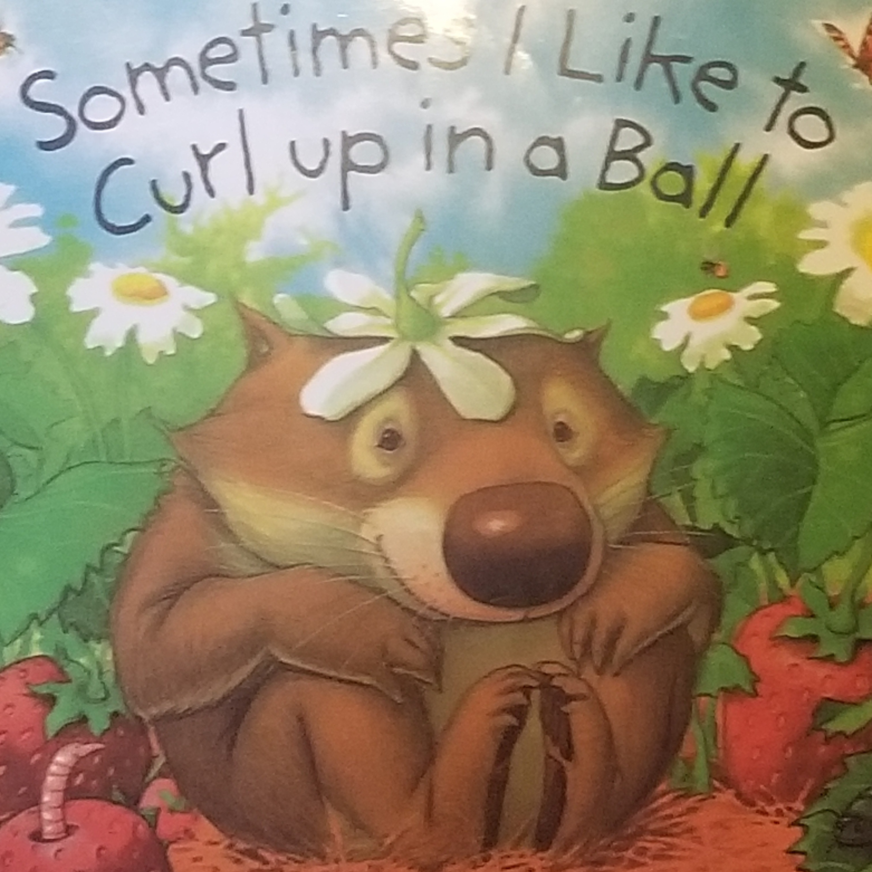 Sometimes I like to curl up in a ball episode artwork