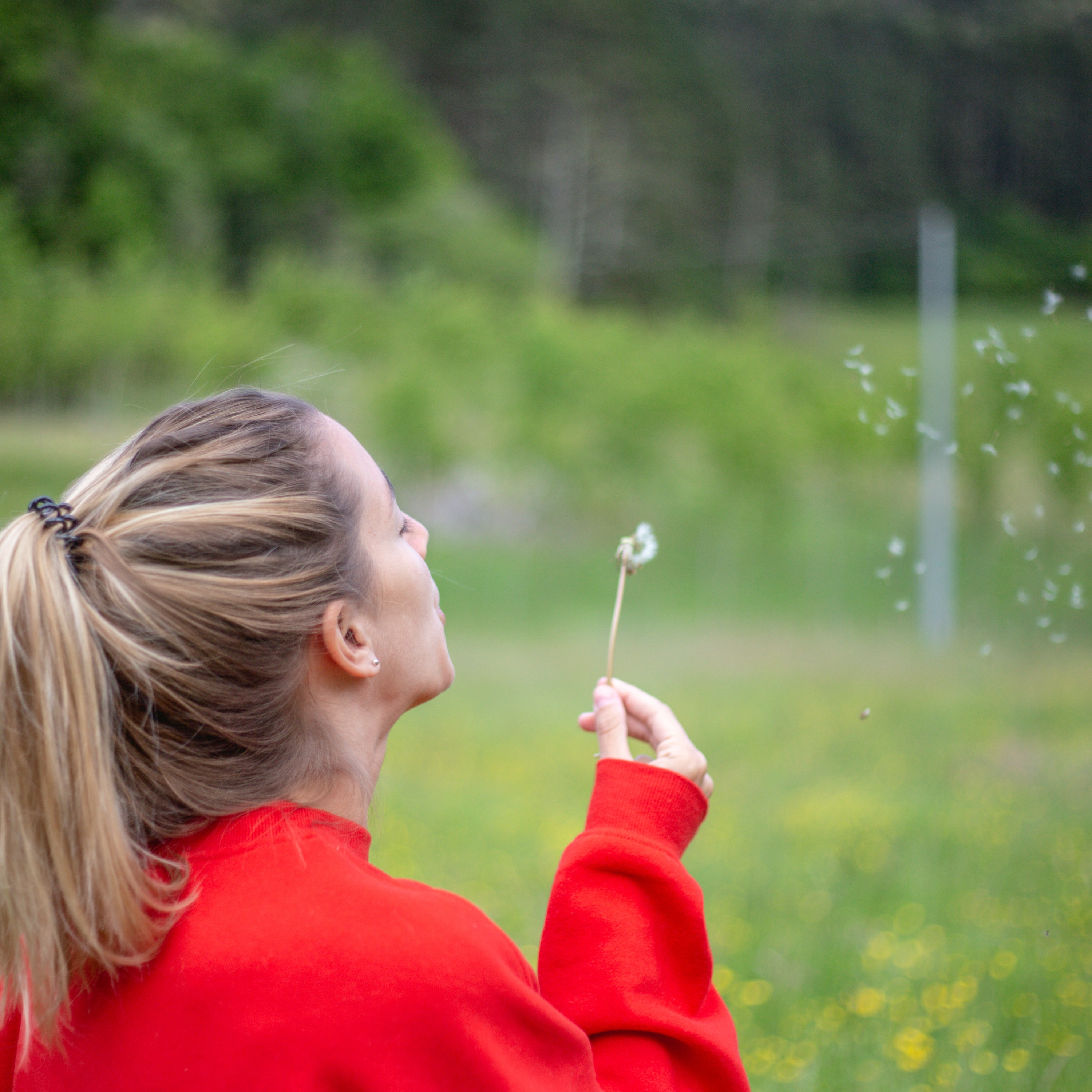 The Peace Project | Meditations for inner peace and a healthier world