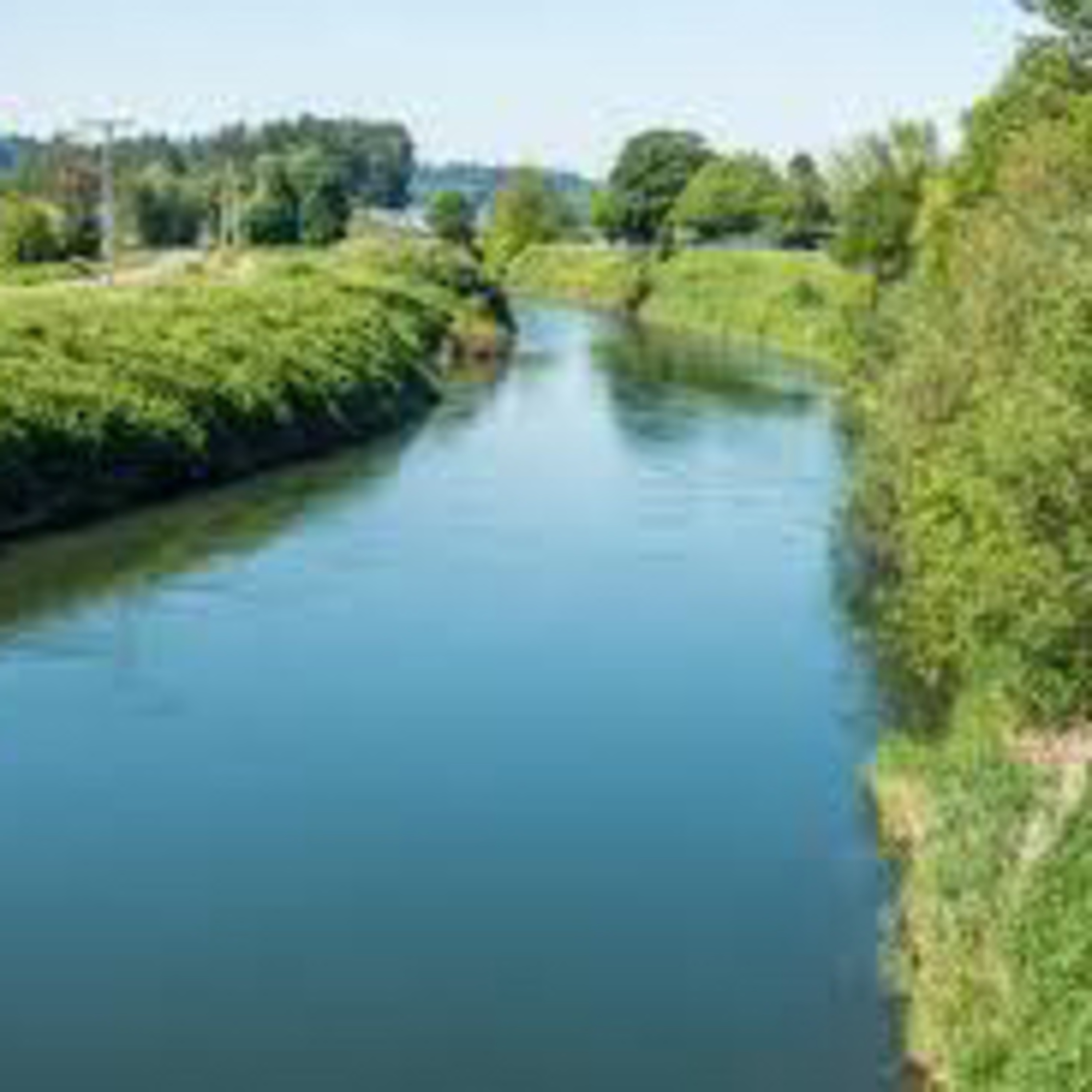 The Green River Killer 