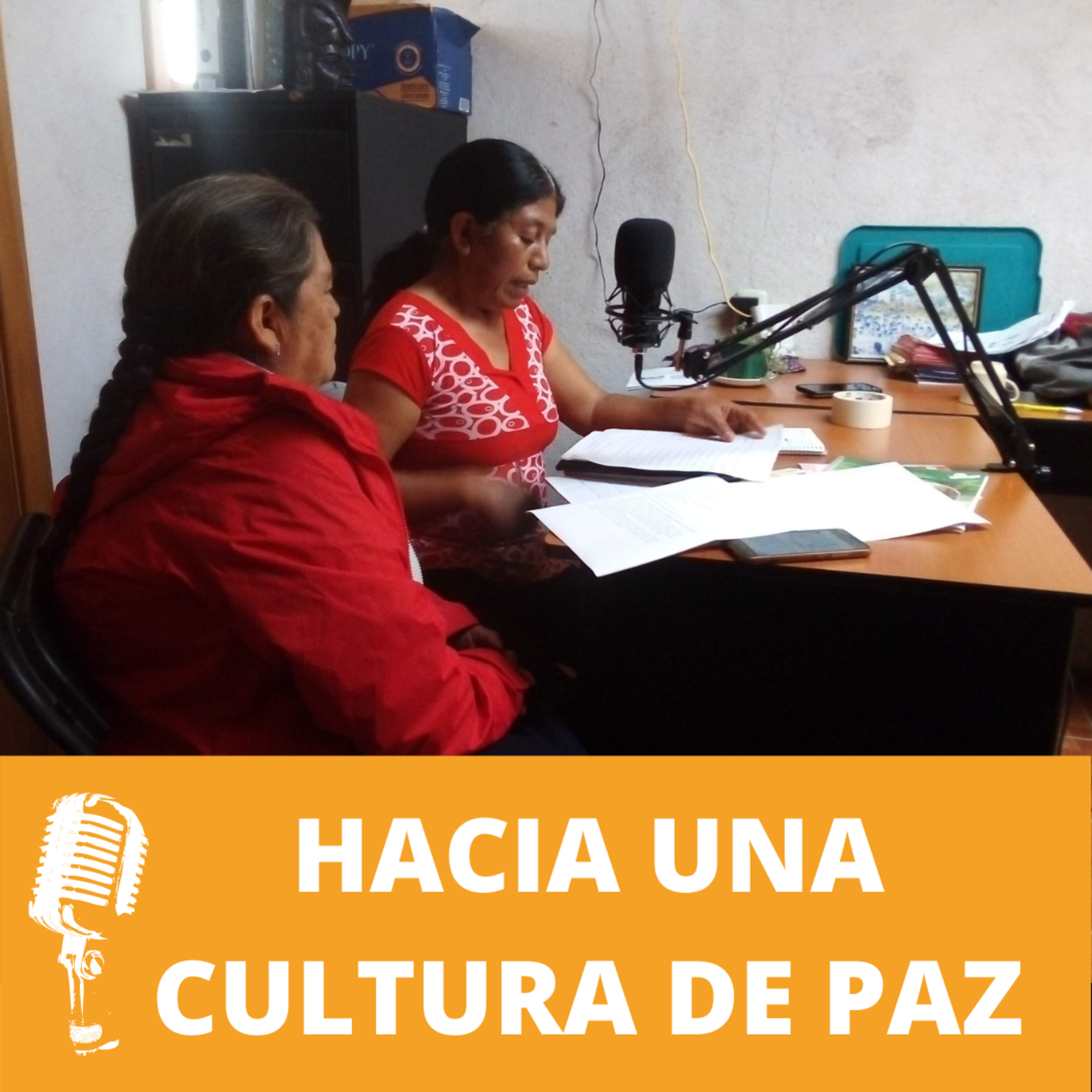 Hacia una cultura de paz