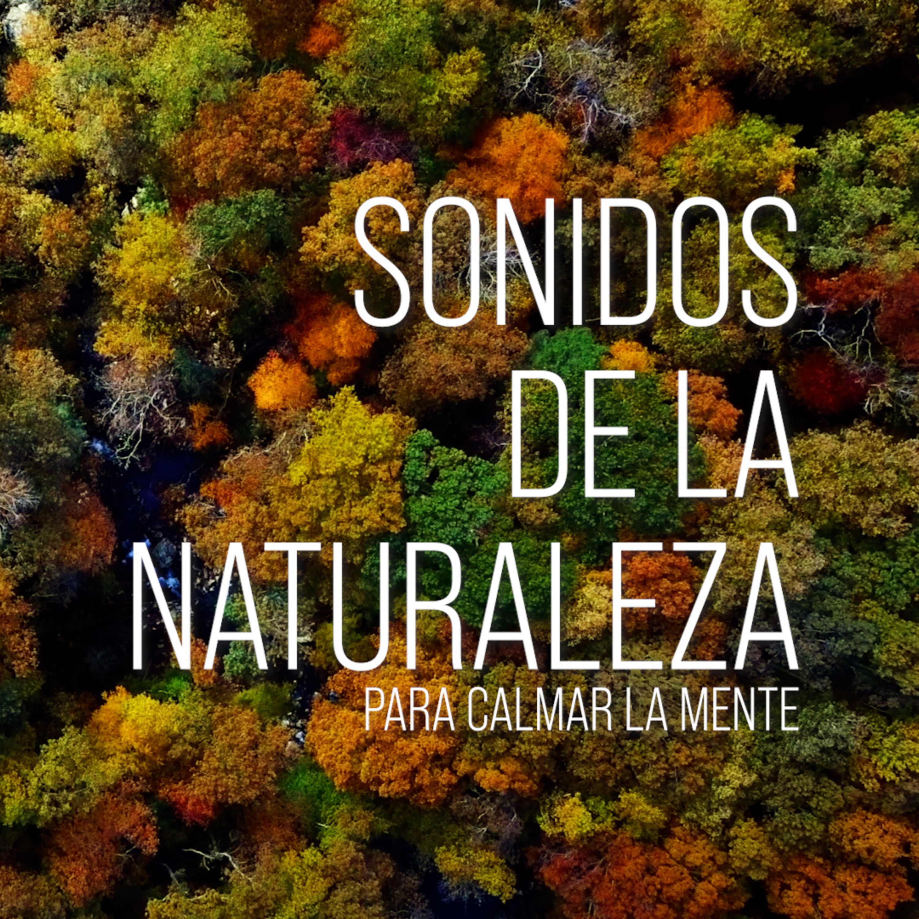 Escuchar Sonidos De La Naturaleza Para Relajarse Relax Sound – Podcast – Podtail