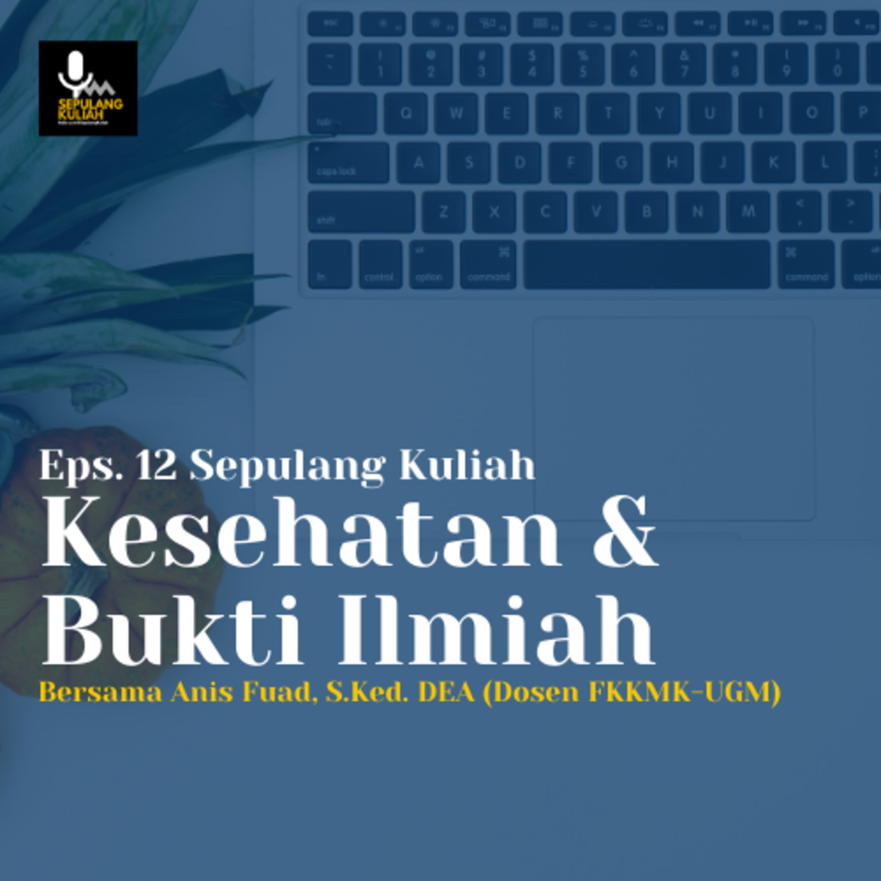 Sepulang Kuliah