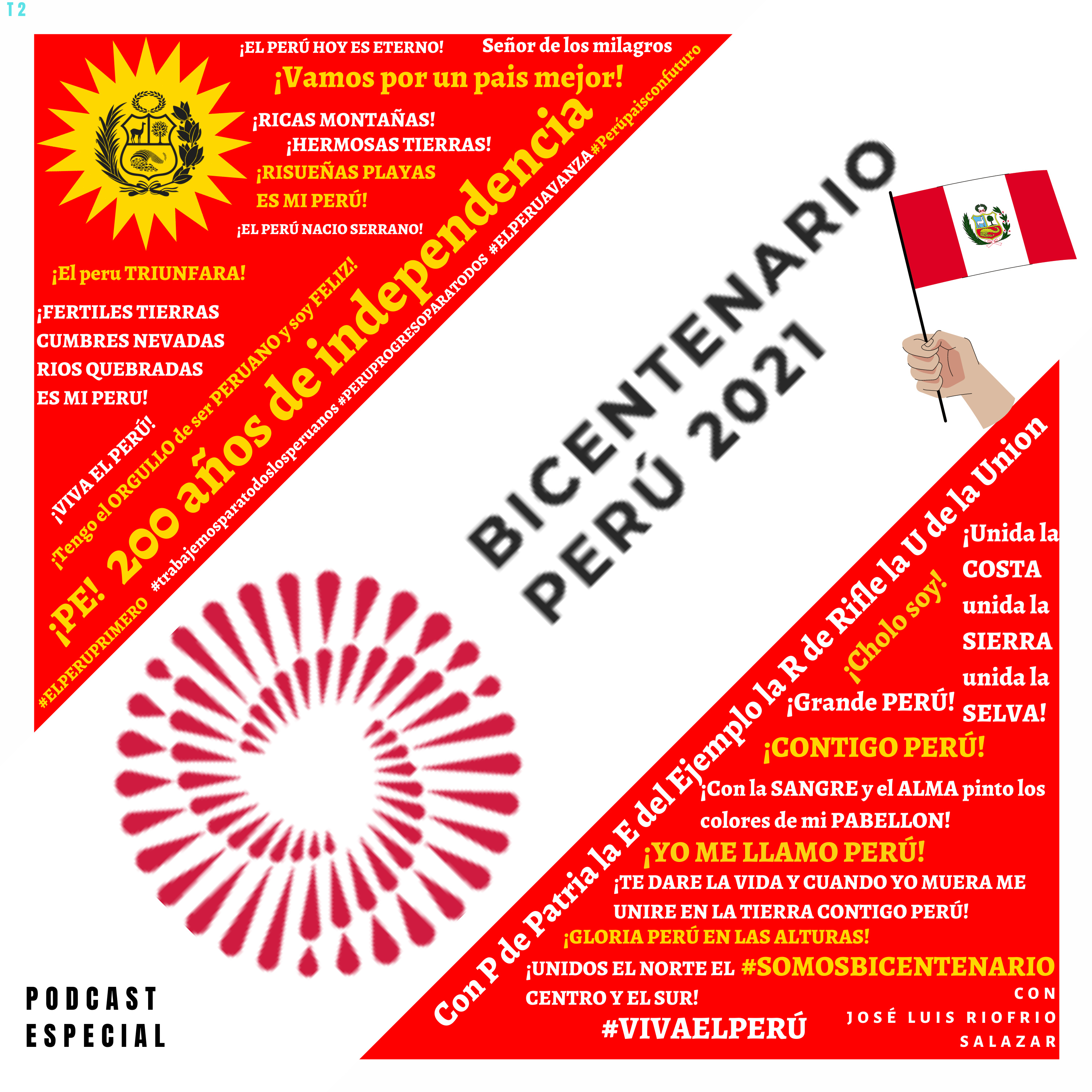 RED AND WHITE PROJECT