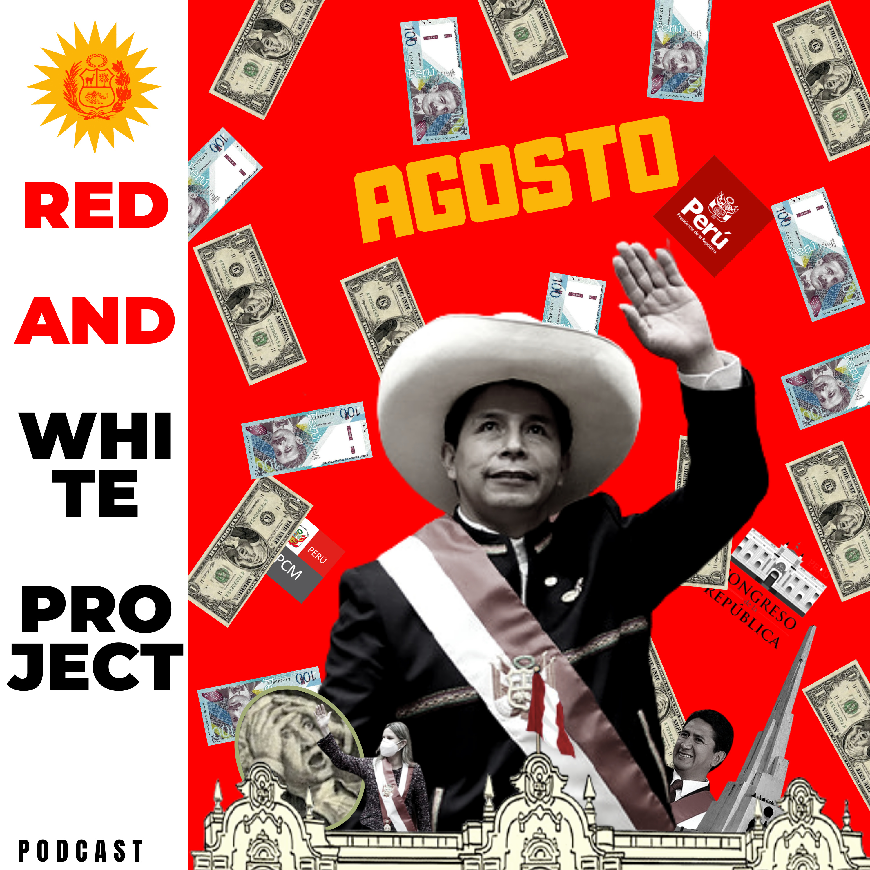 RED AND WHITE PROJECT