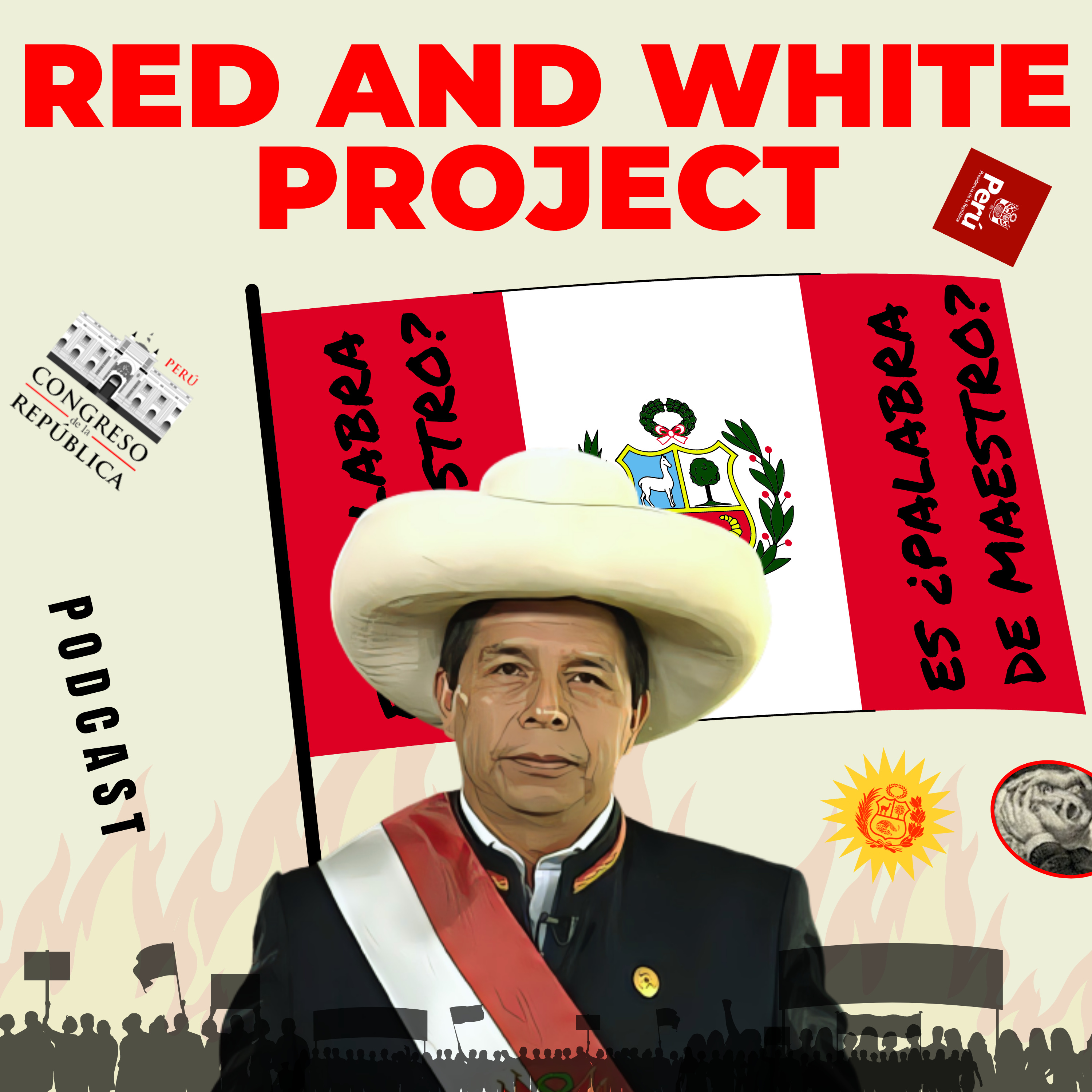 RED AND WHITE PROJECT