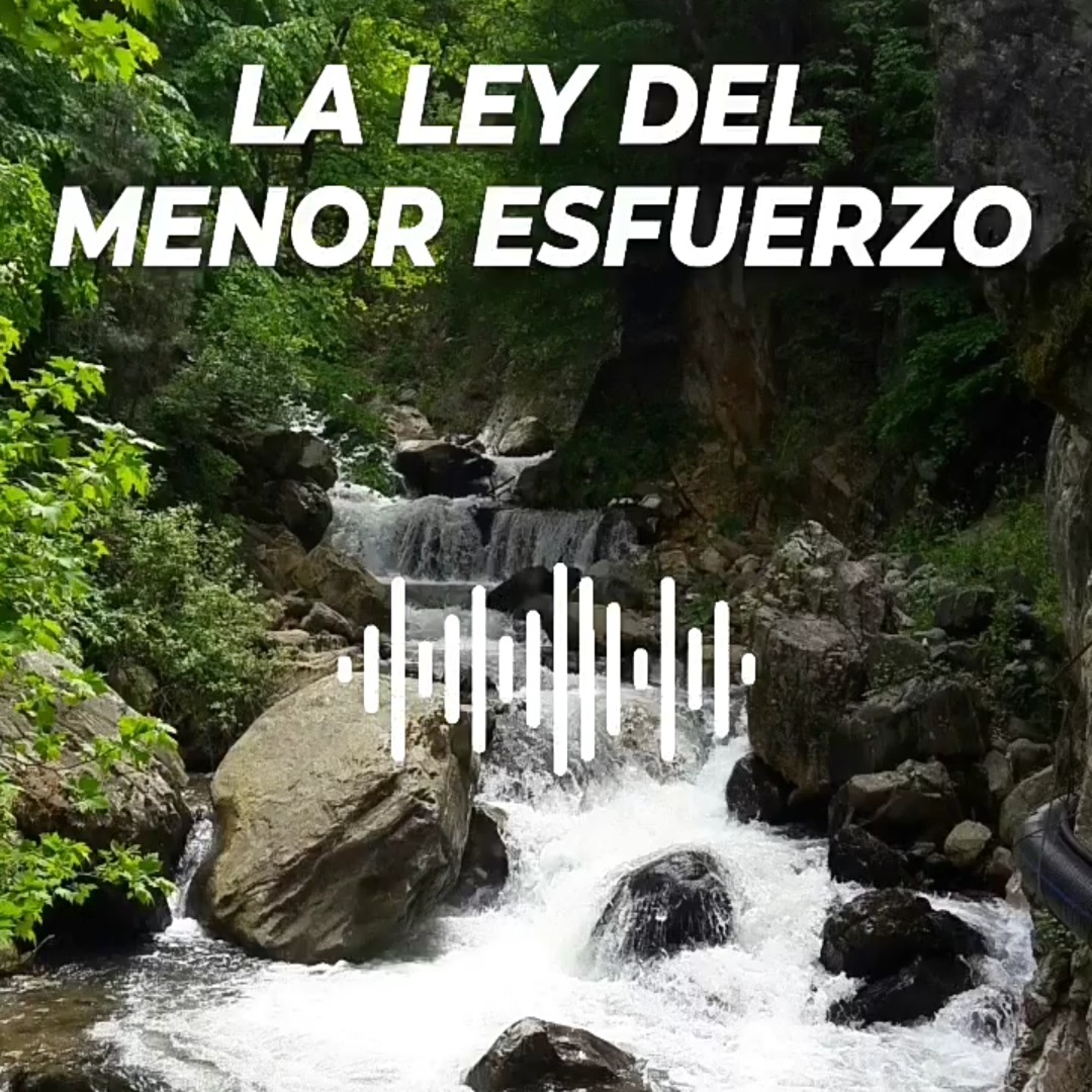 El Libre Albedrío Existe?