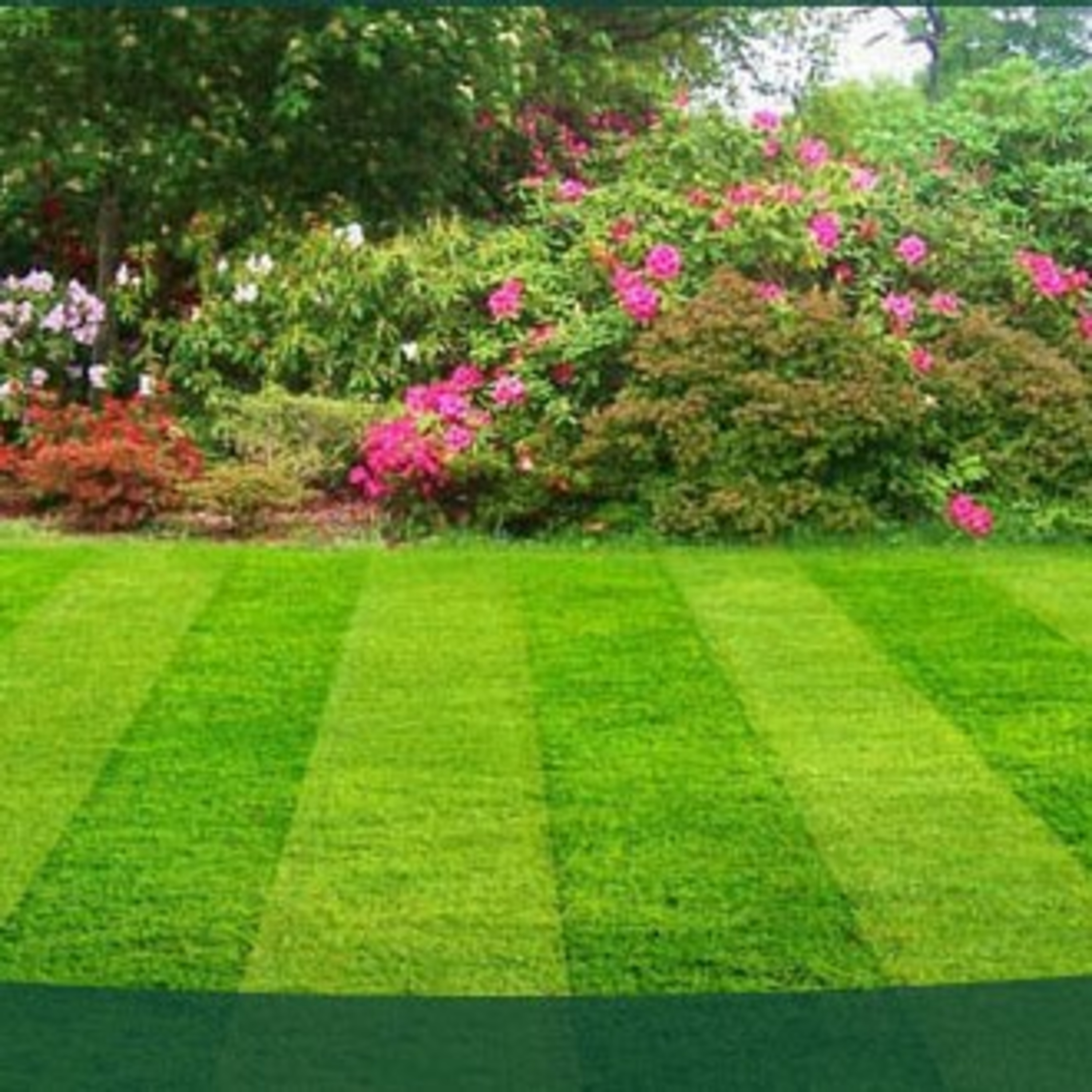 For your lawn care needs call Ohio Lawn Services! episode artwork