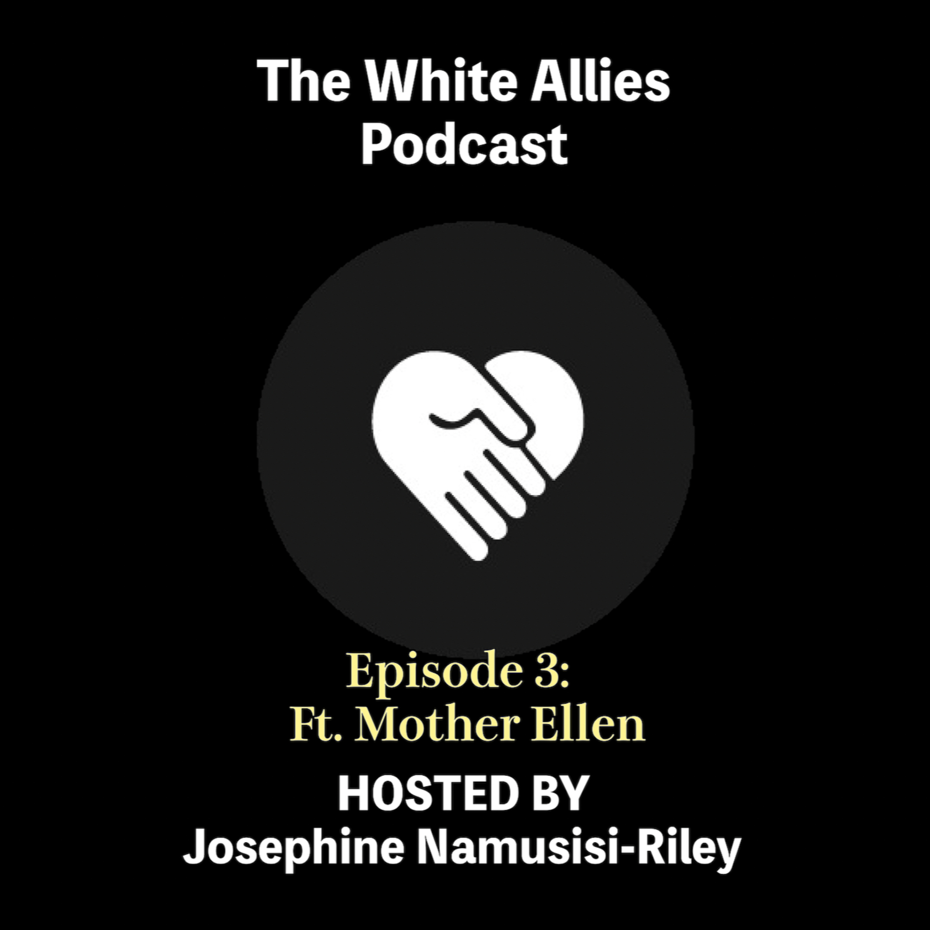 "There is huge power in organised people" White Allies: Episode 3  episode artwork