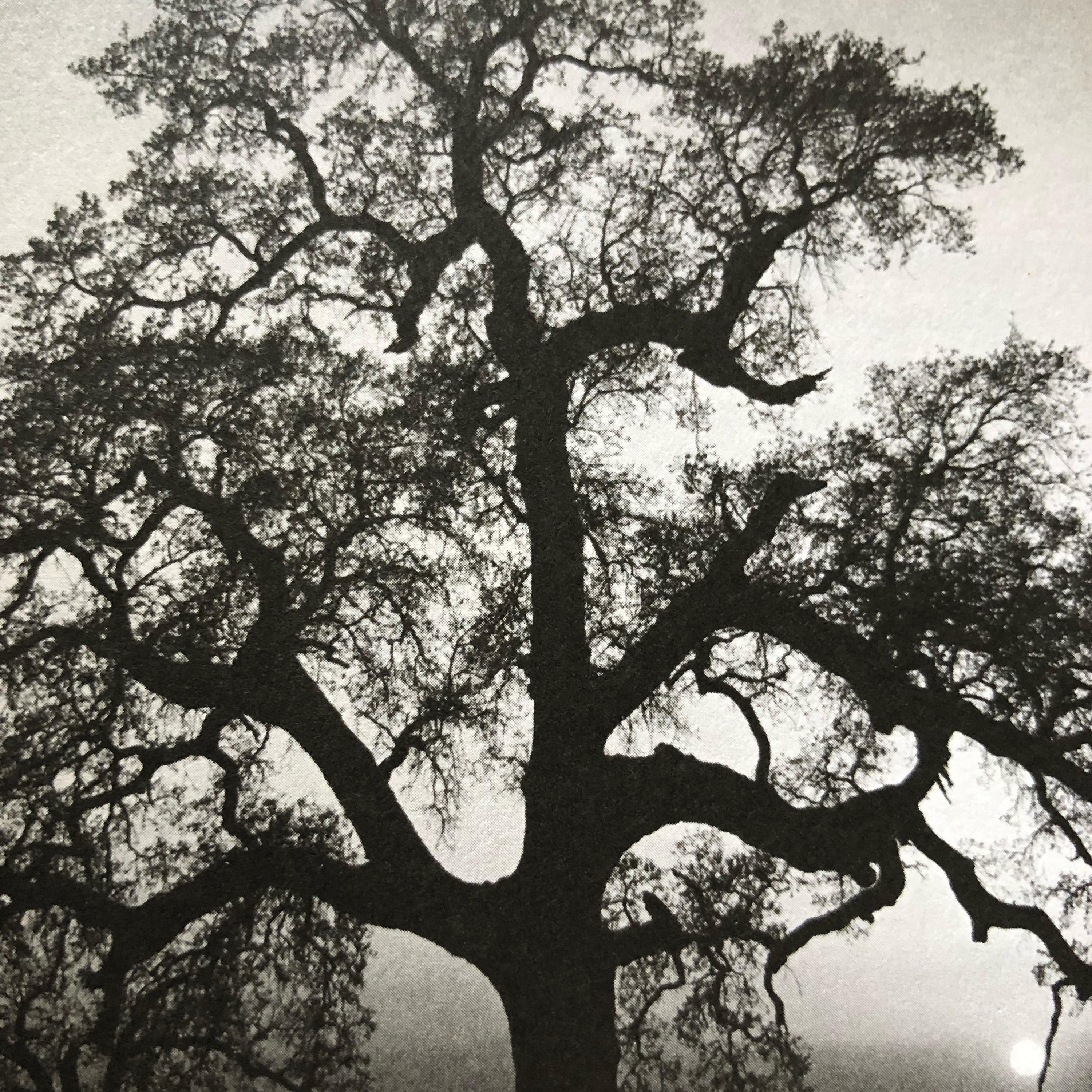 My Notebook of Symbols