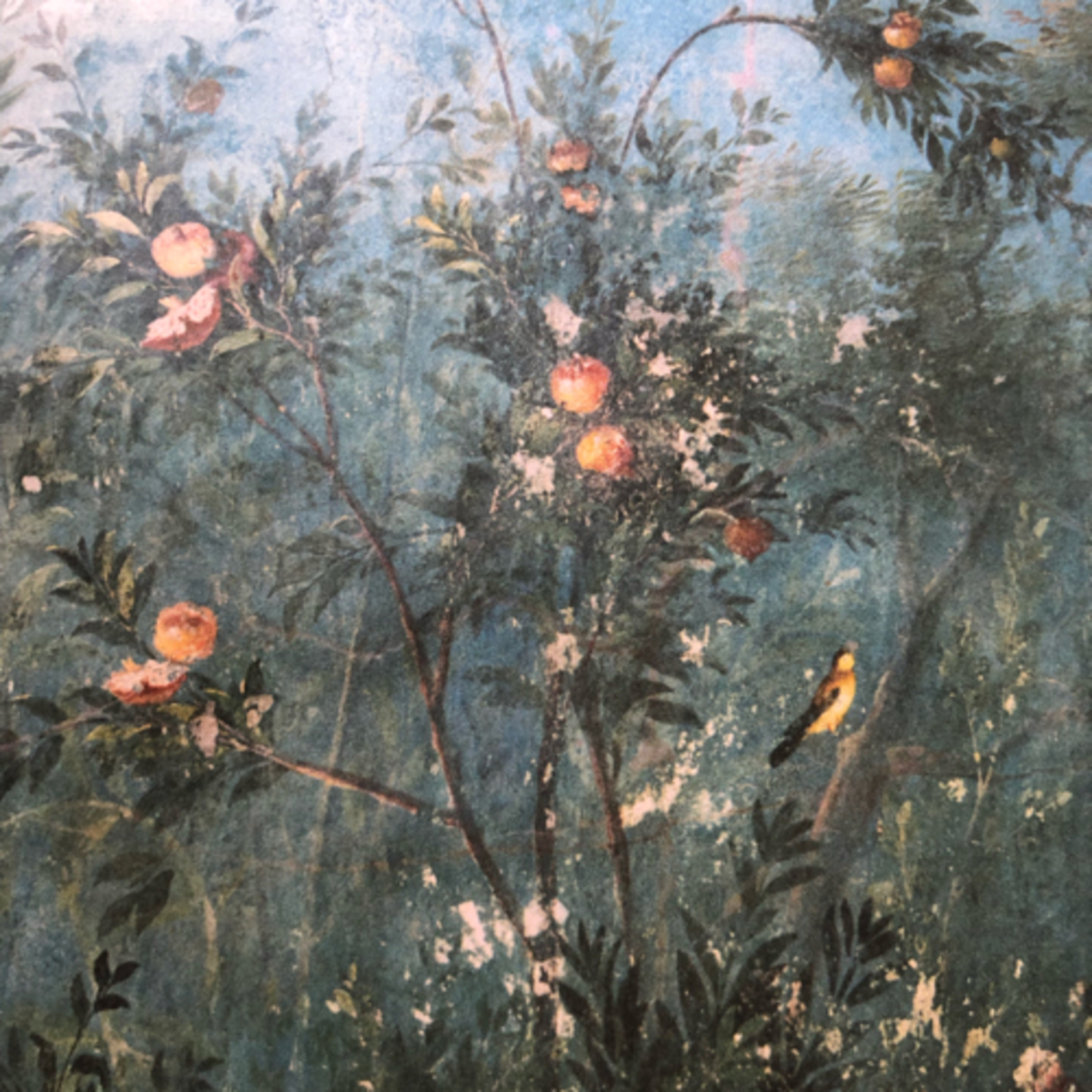 My Notebook of Symbols