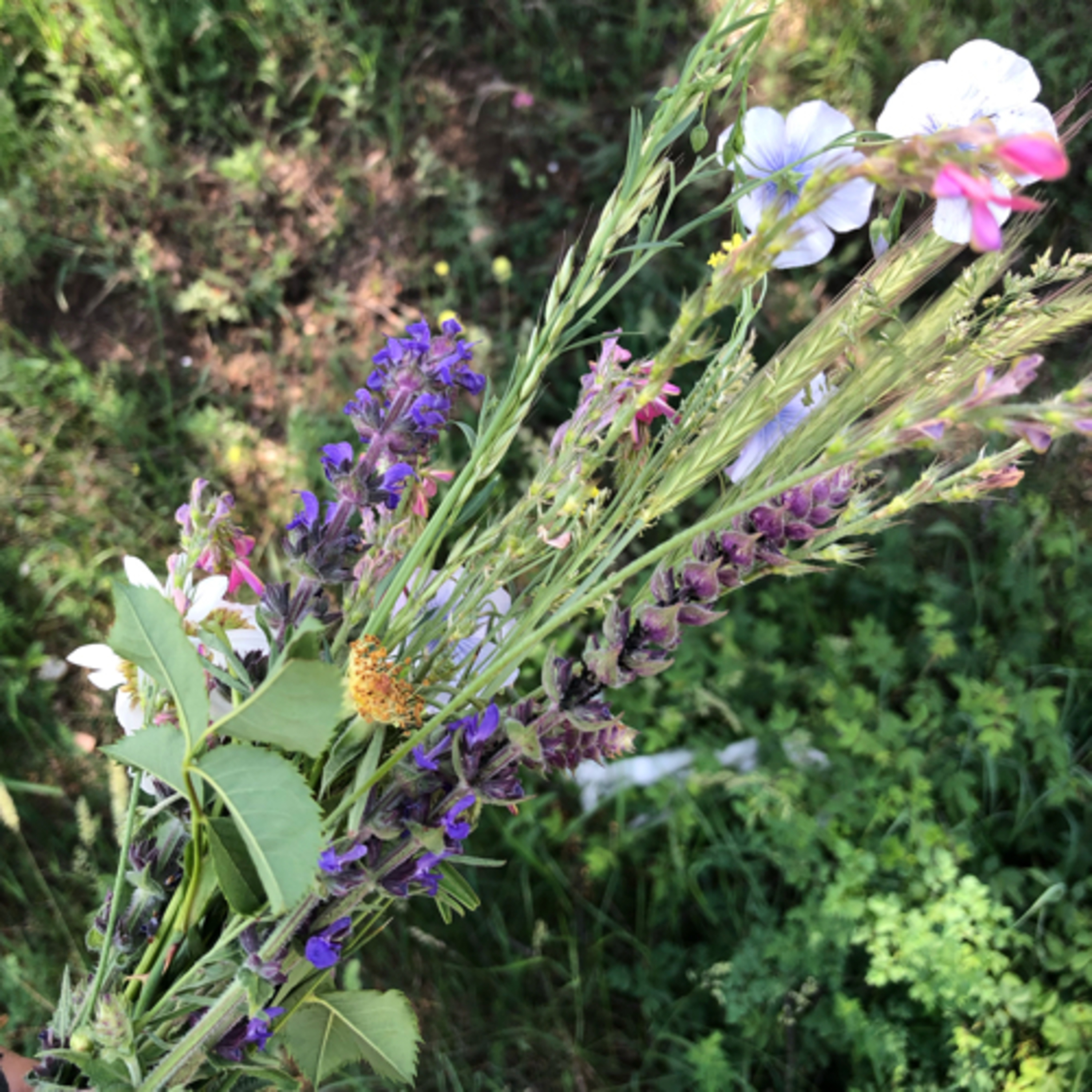 My Notebook of Symbols