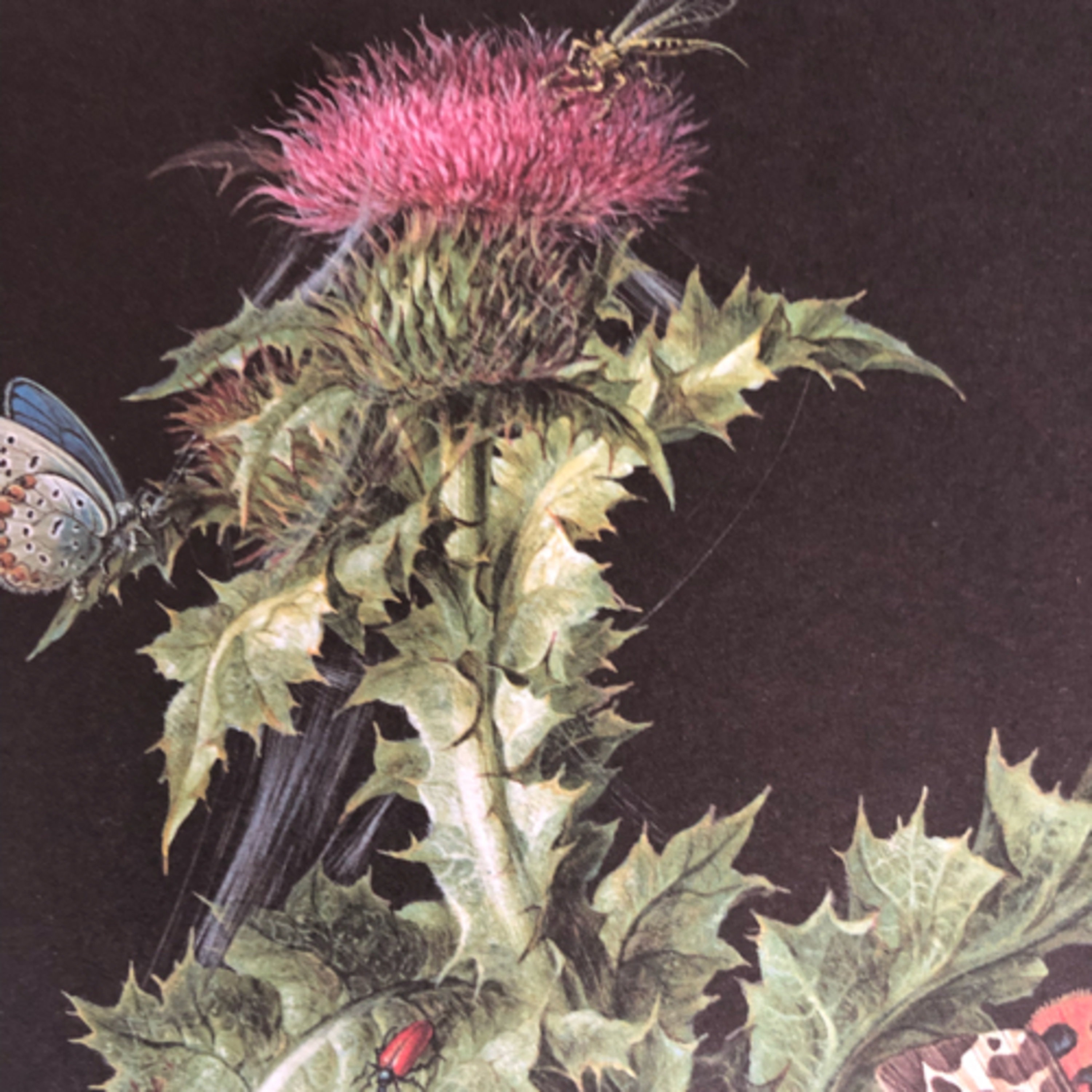 My Notebook of Symbols