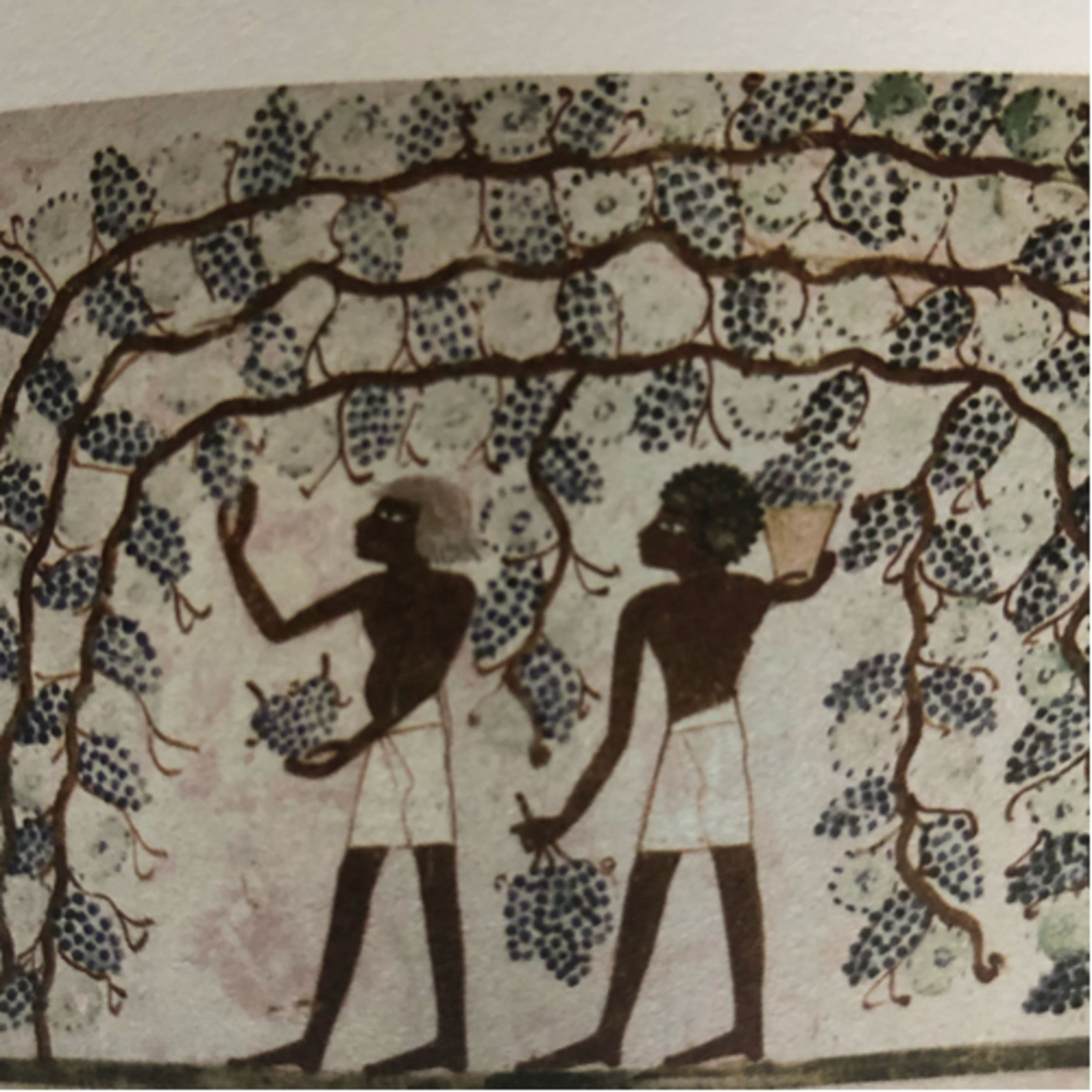 My Notebook of Symbols