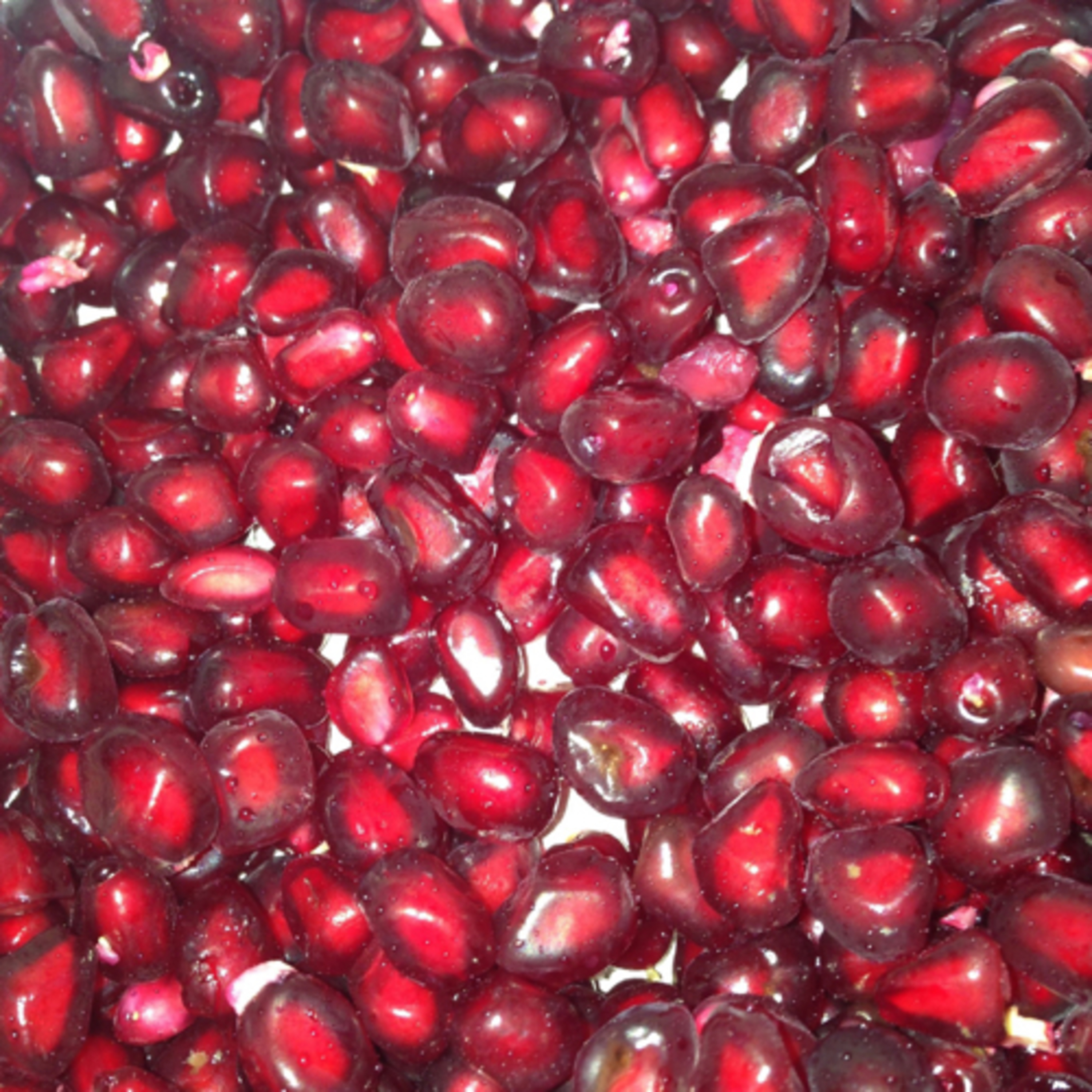 My Notebook of Symbols