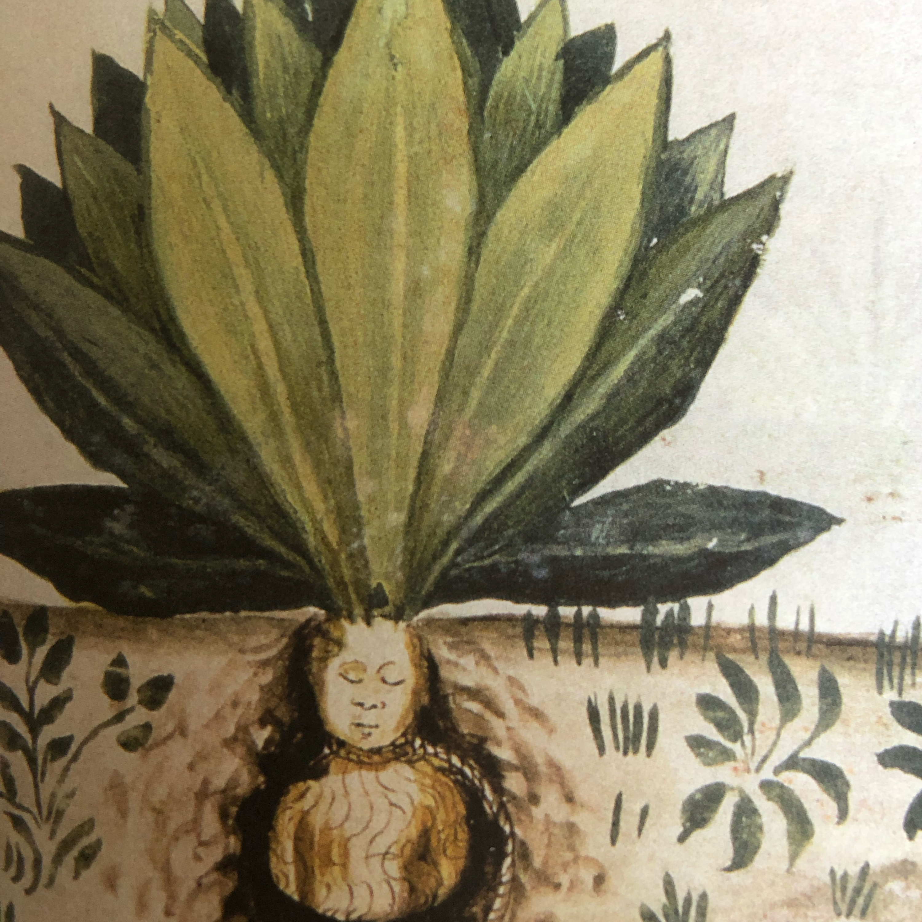 My Notebook of Symbols