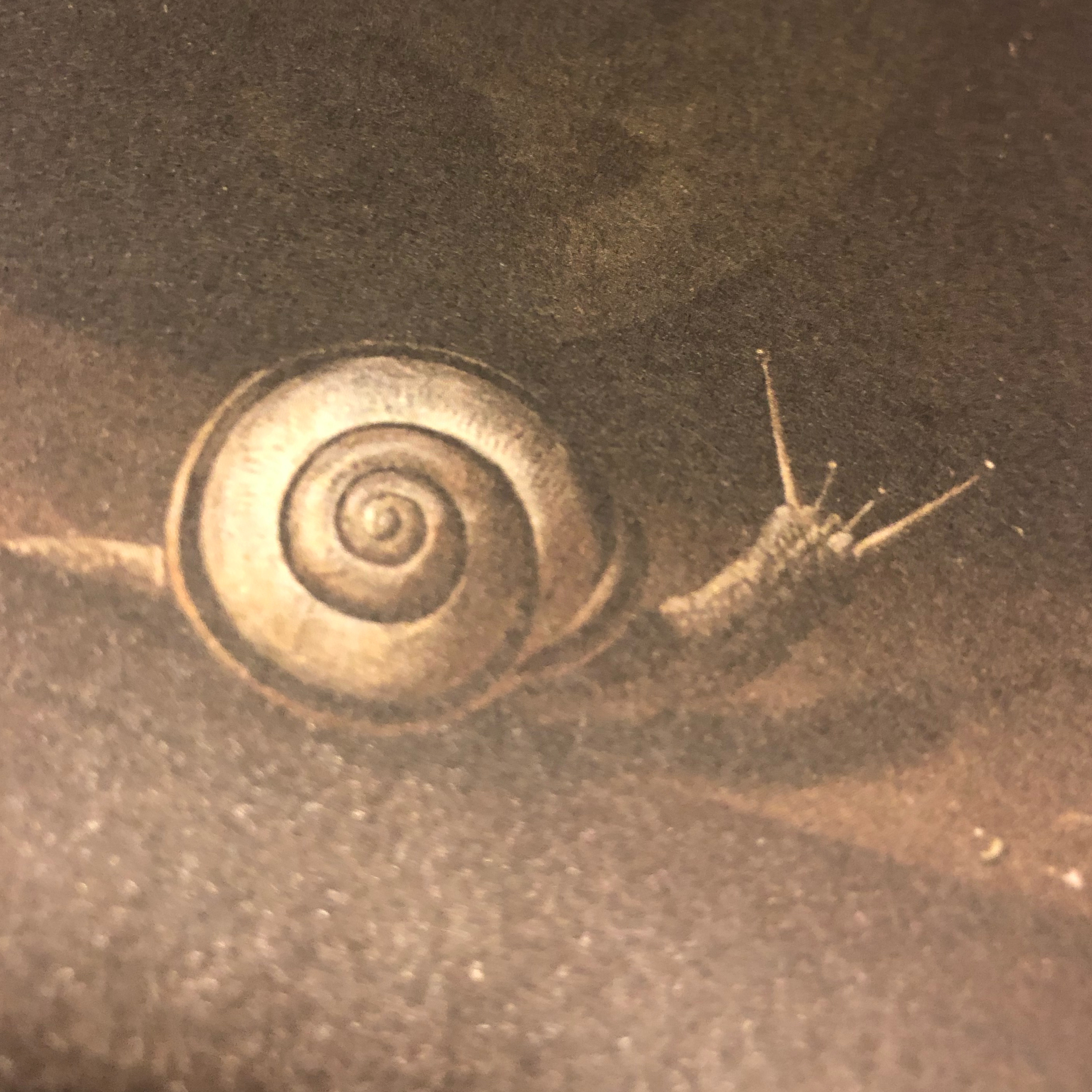 My Notebook of Symbols