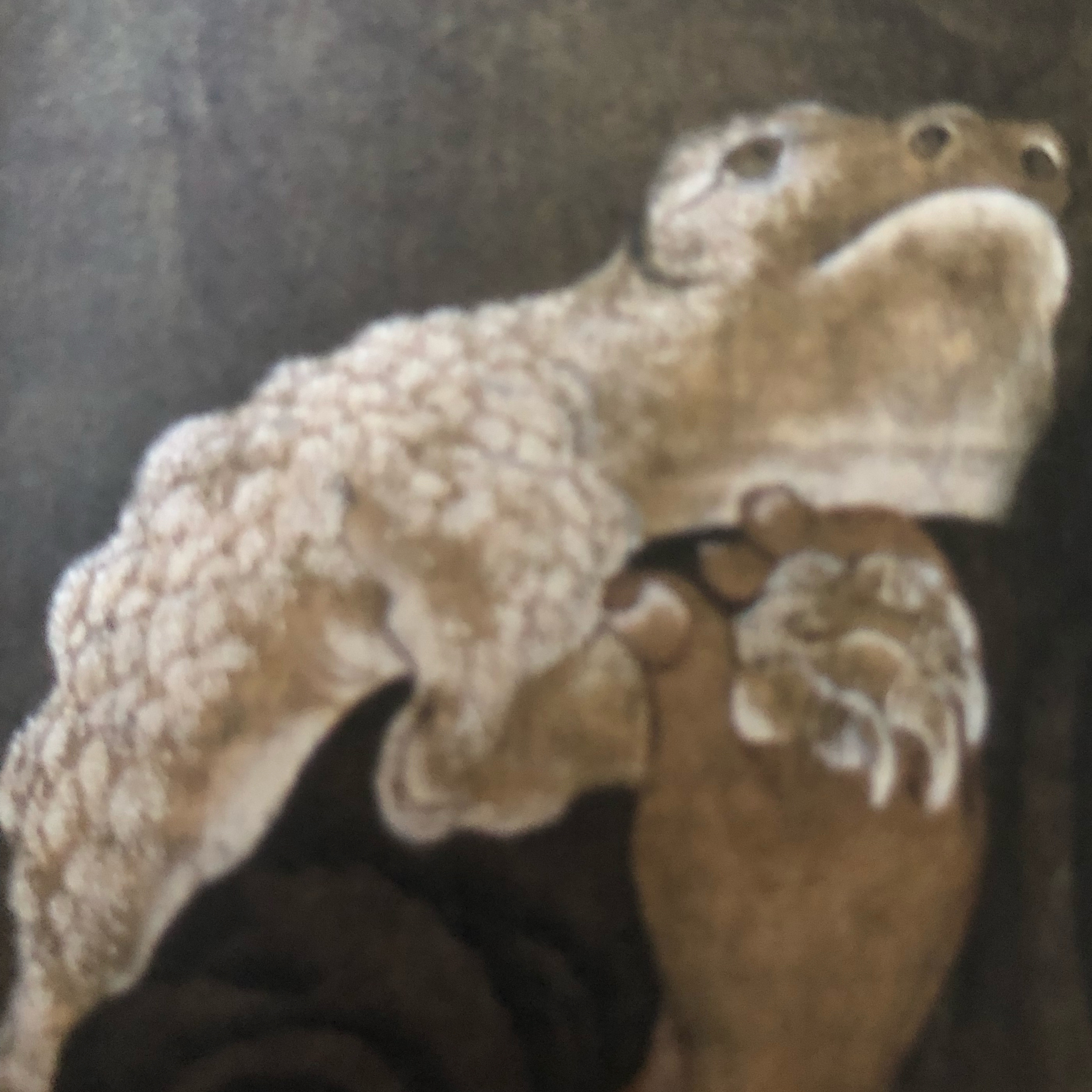 My Notebook of Symbols