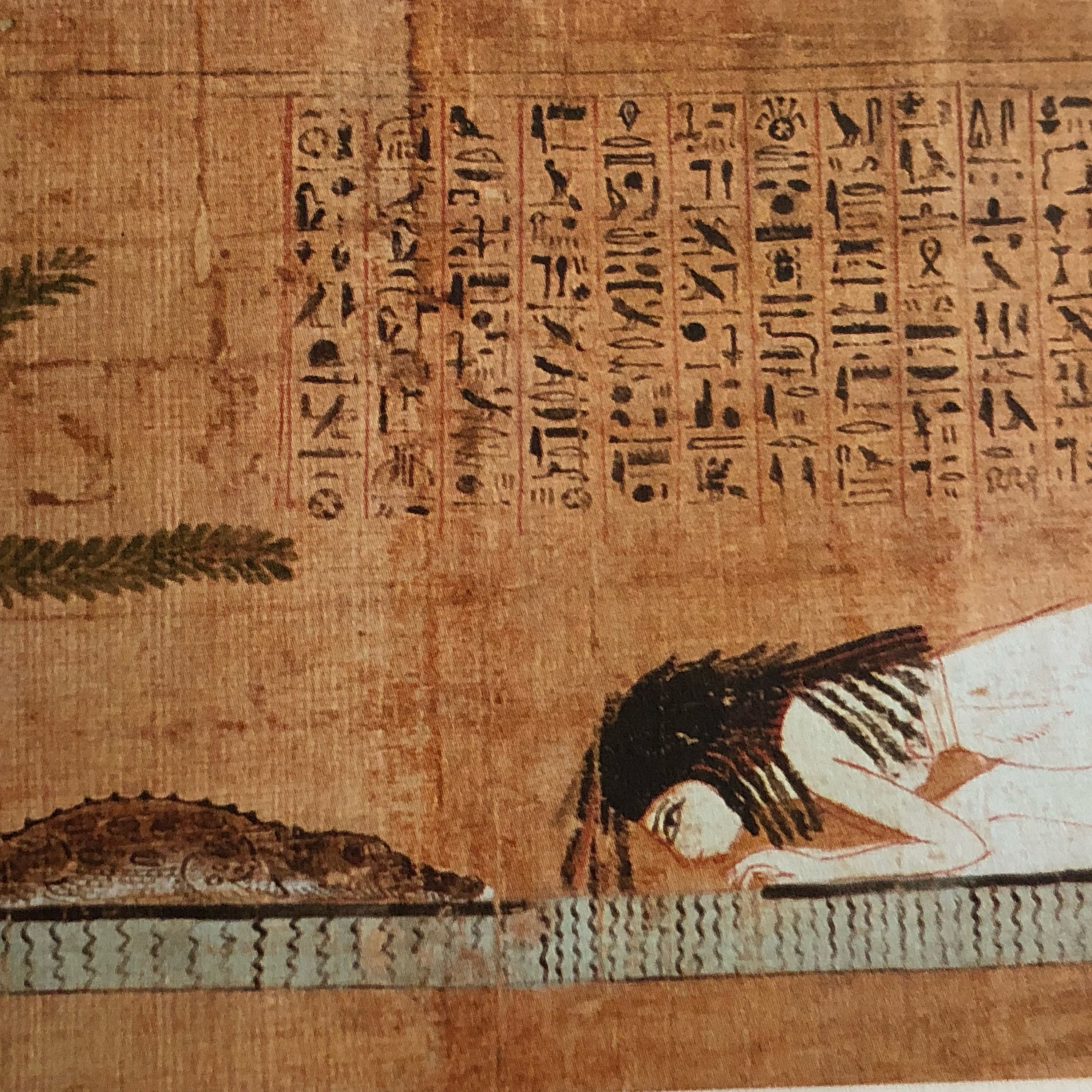 My Notebook of Symbols