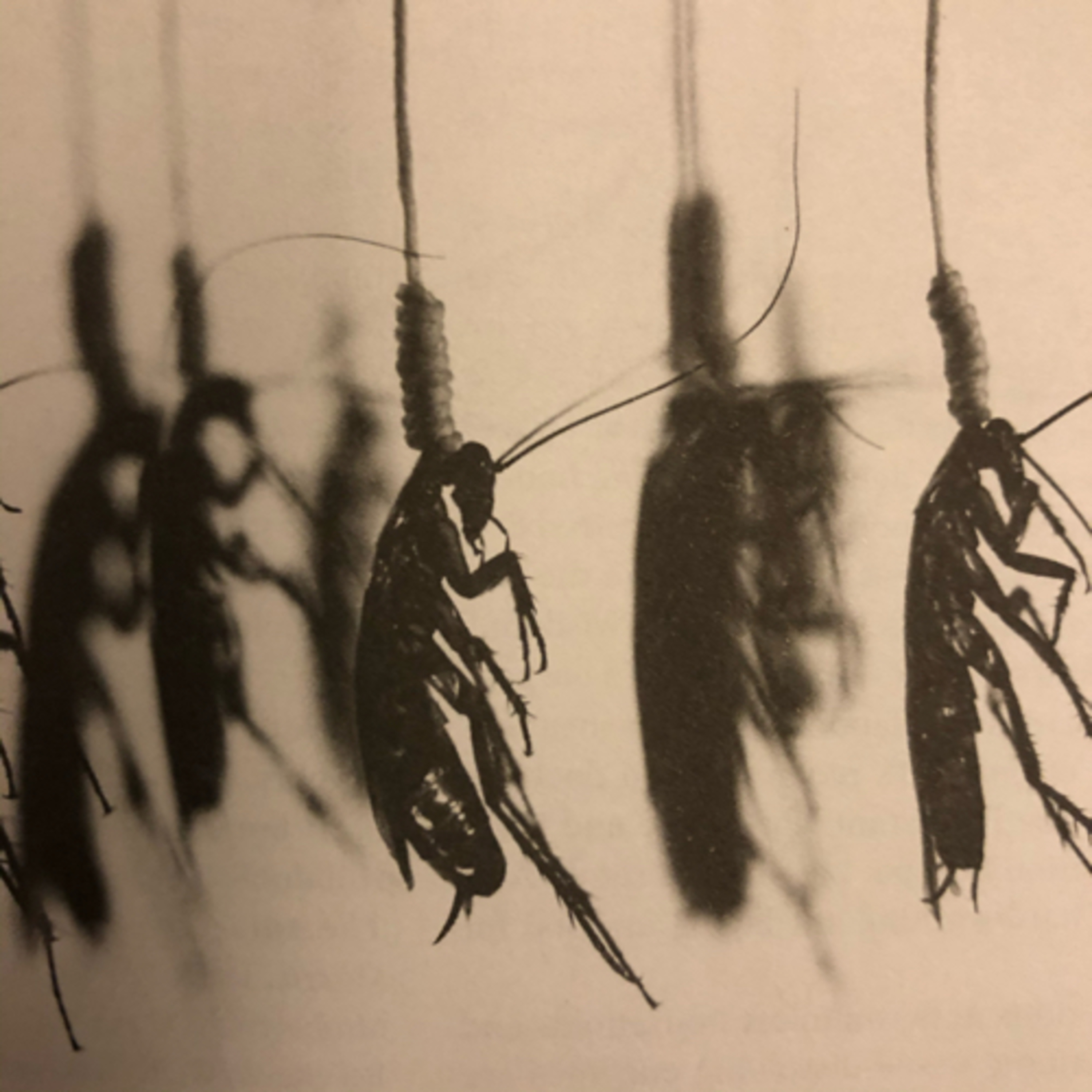 My Notebook of Symbols