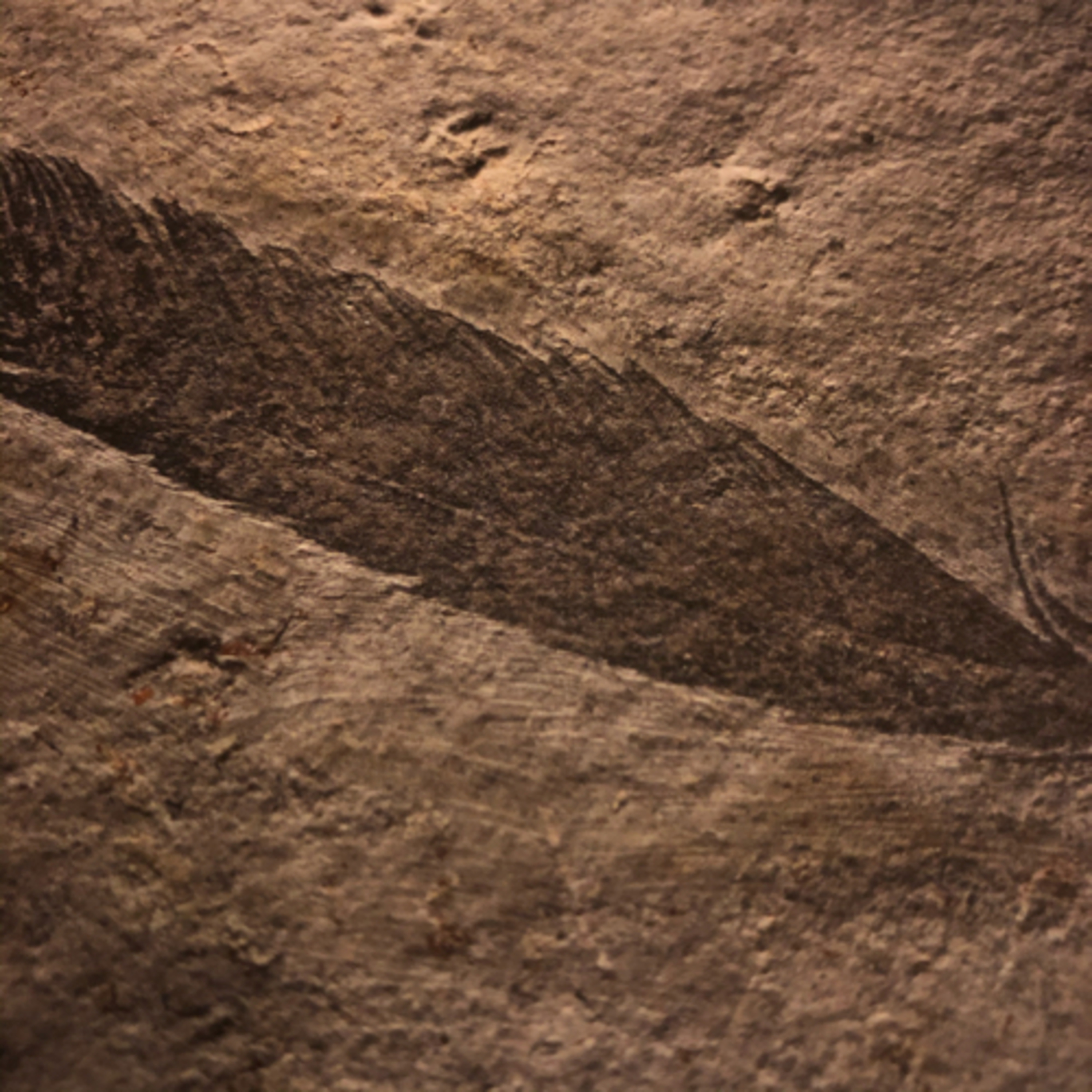 My Notebook of Symbols