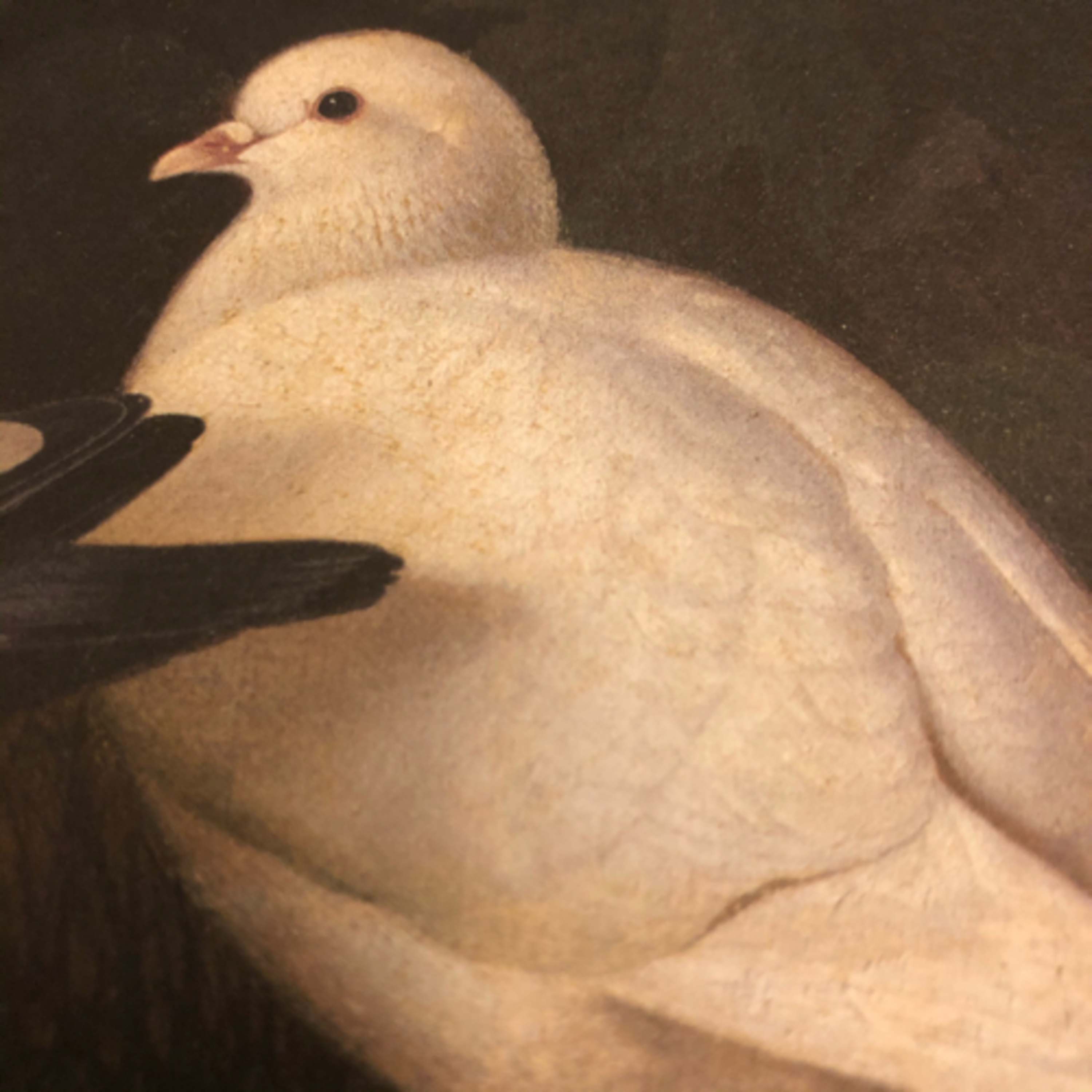 My Notebook of Symbols