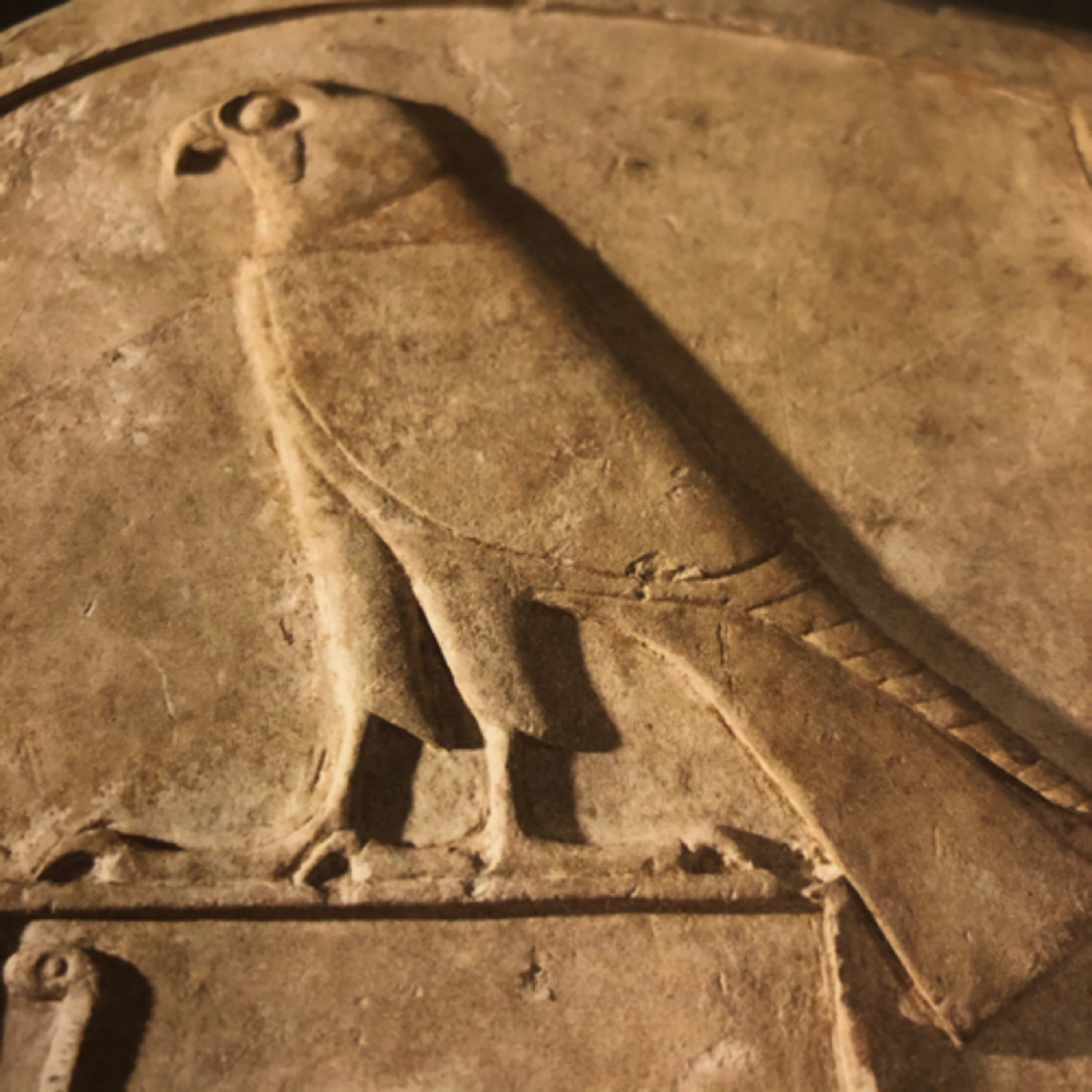 My Notebook of Symbols