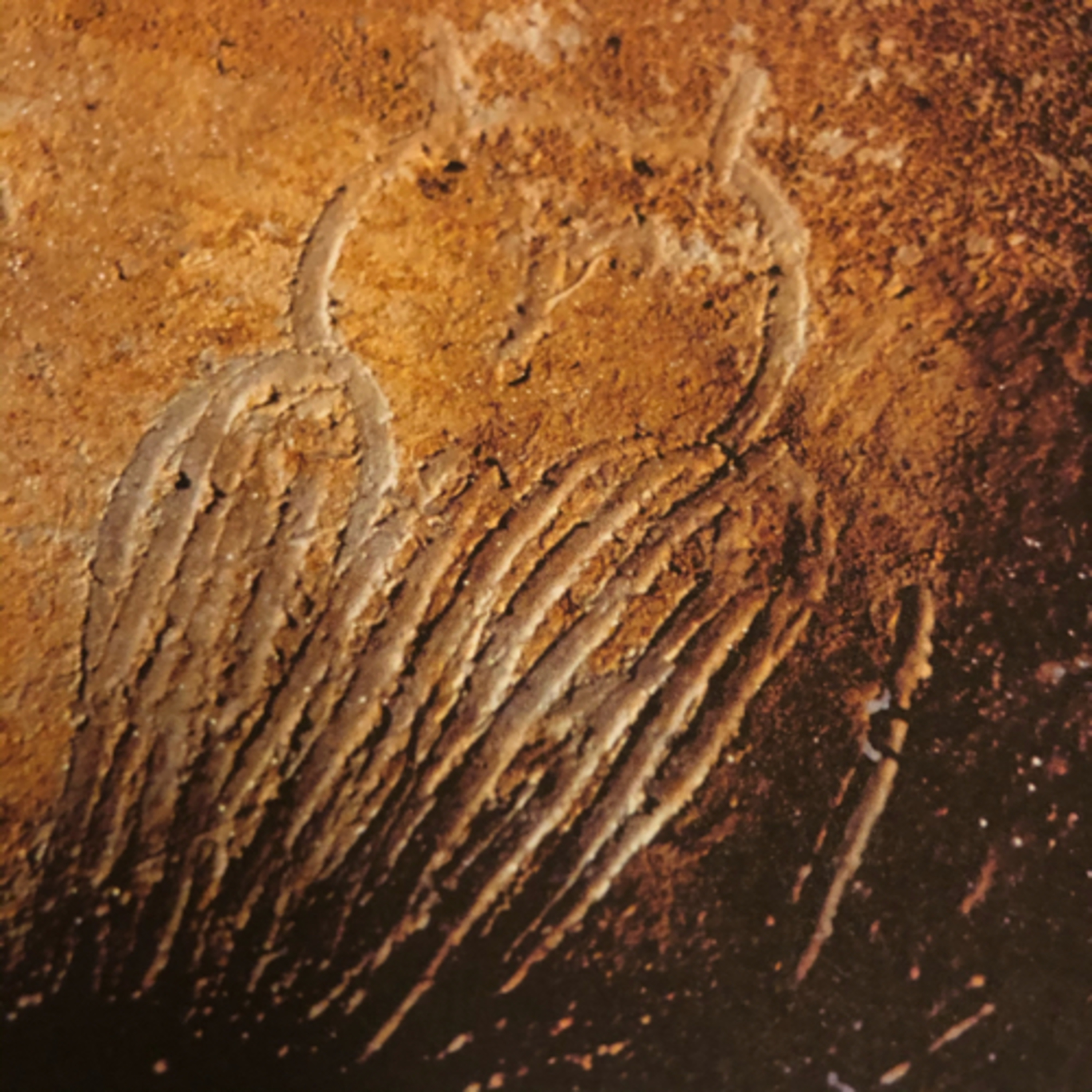 My Notebook of Symbols