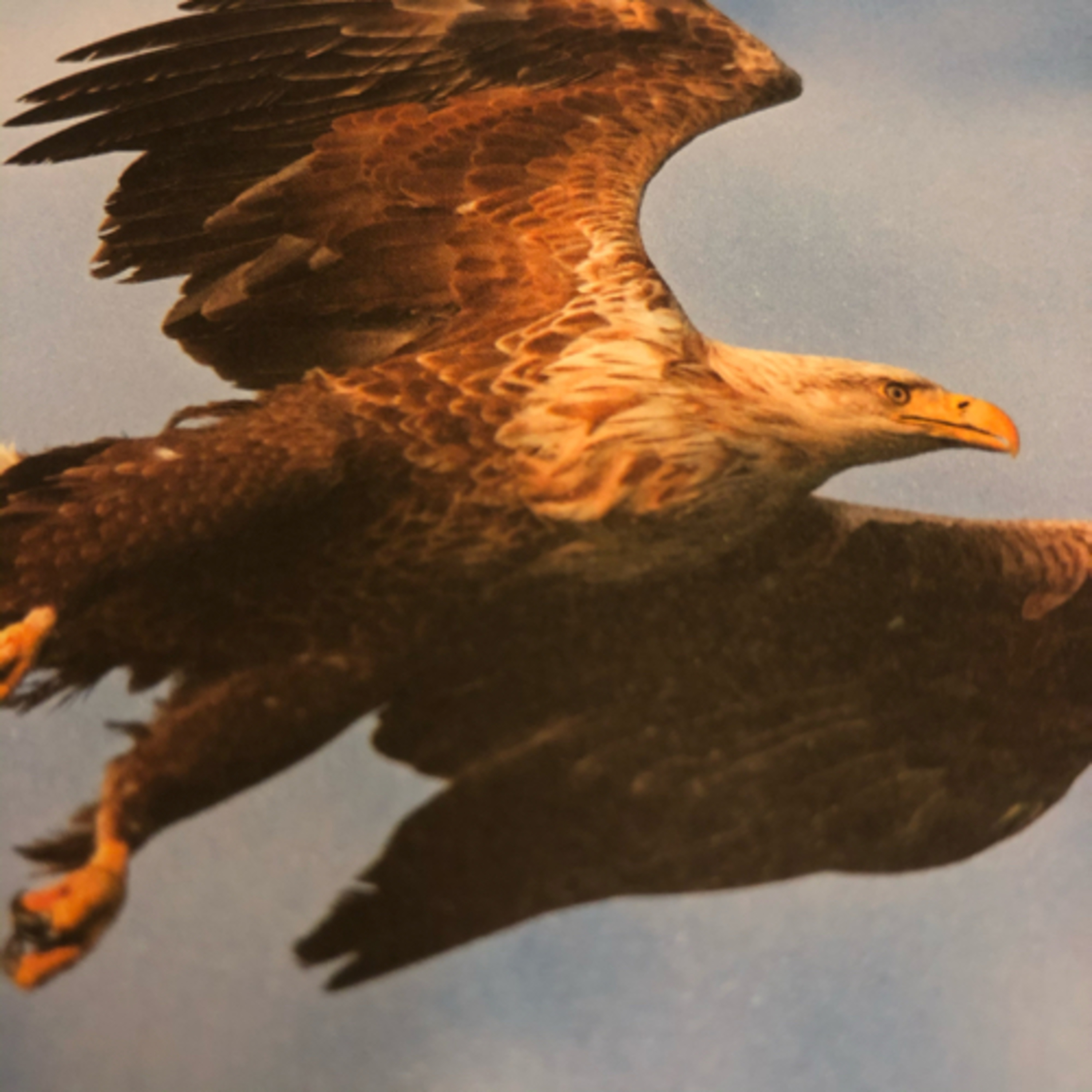 My Notebook of Symbols