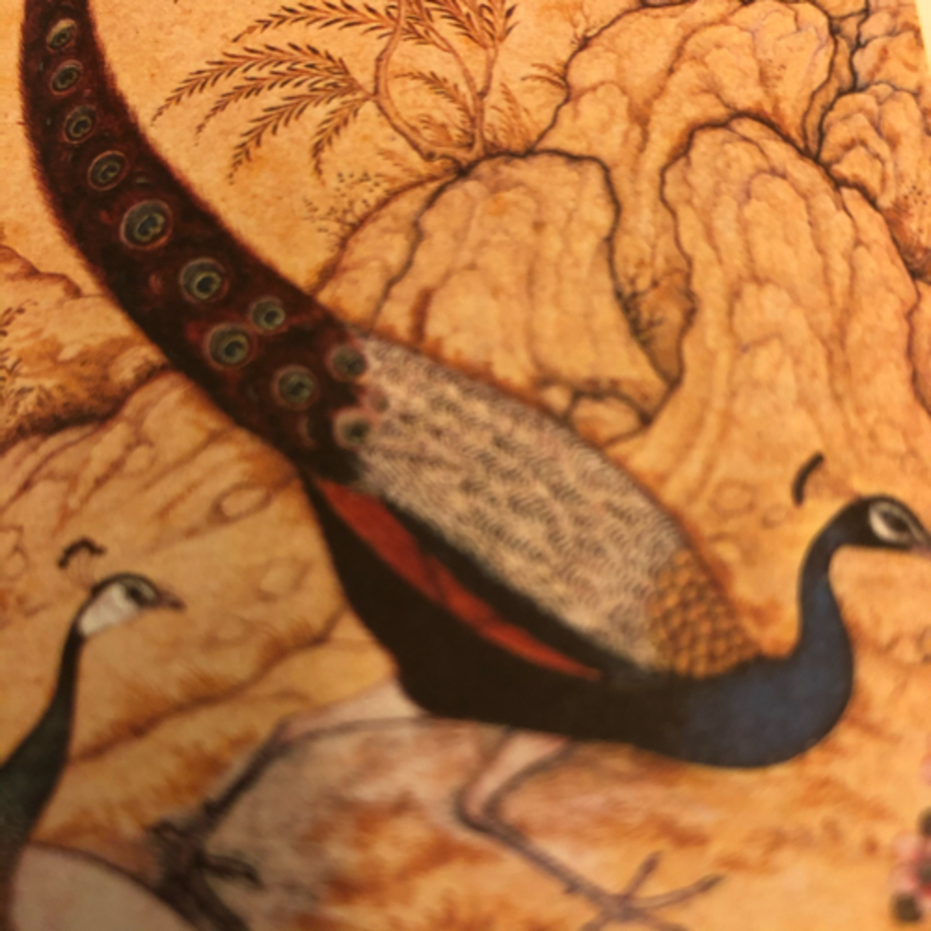 My Notebook of Symbols