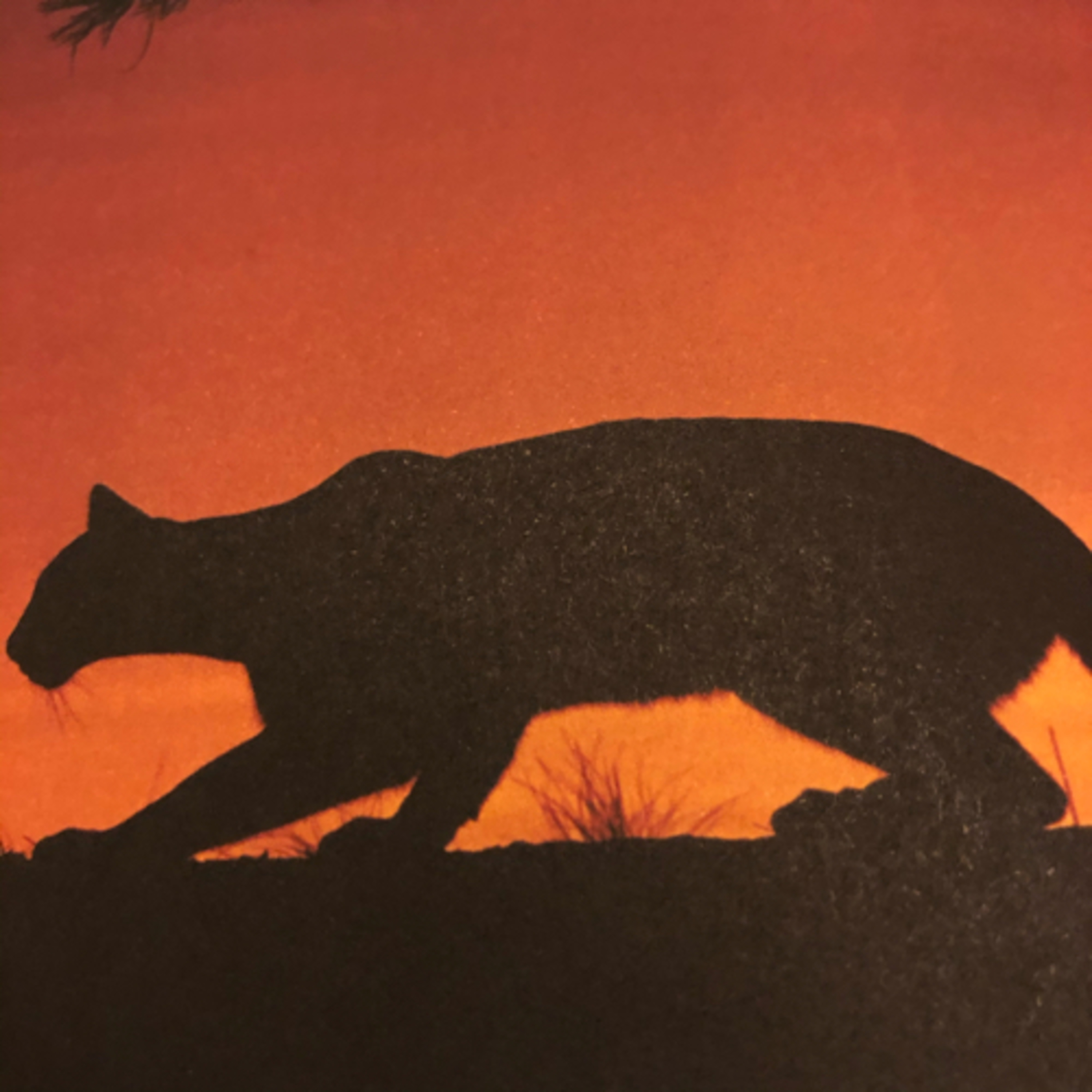 My Notebook of Symbols