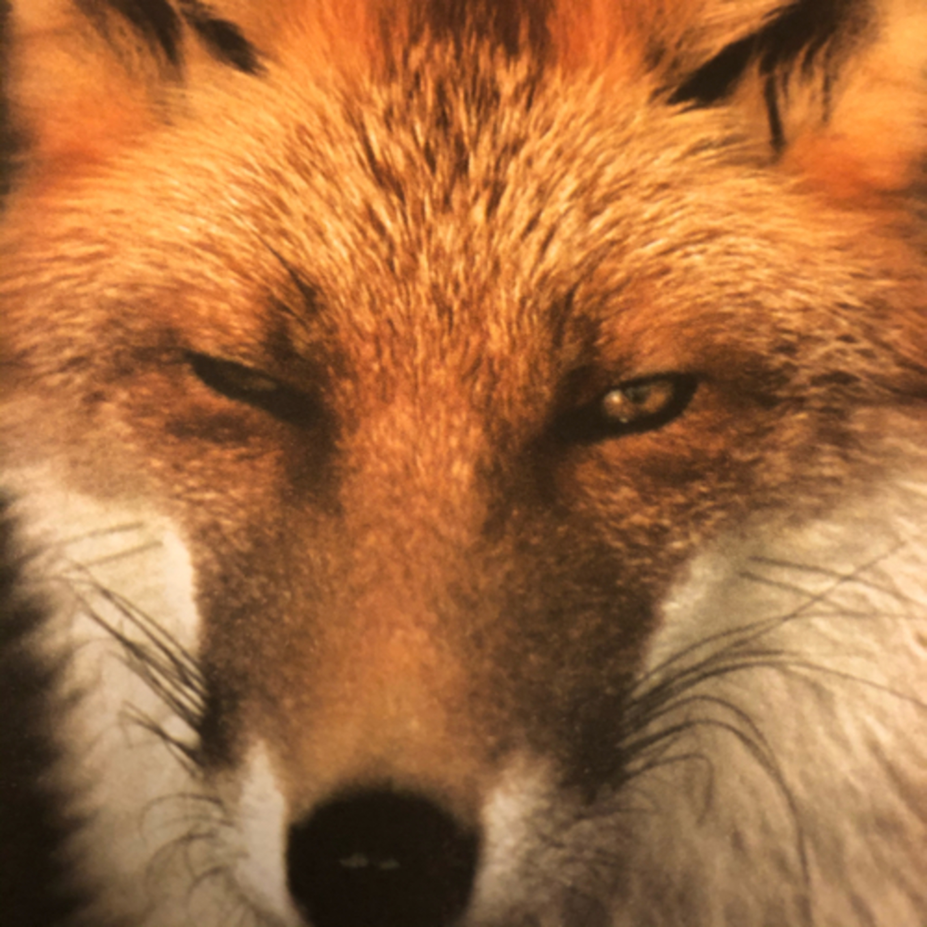 My Notebook of Symbols