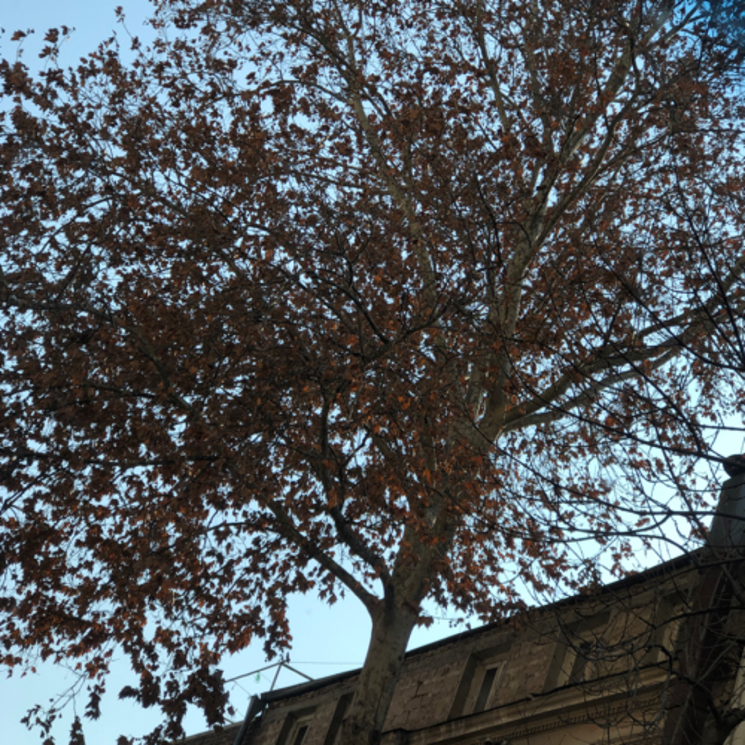 My Notebook of Symbols