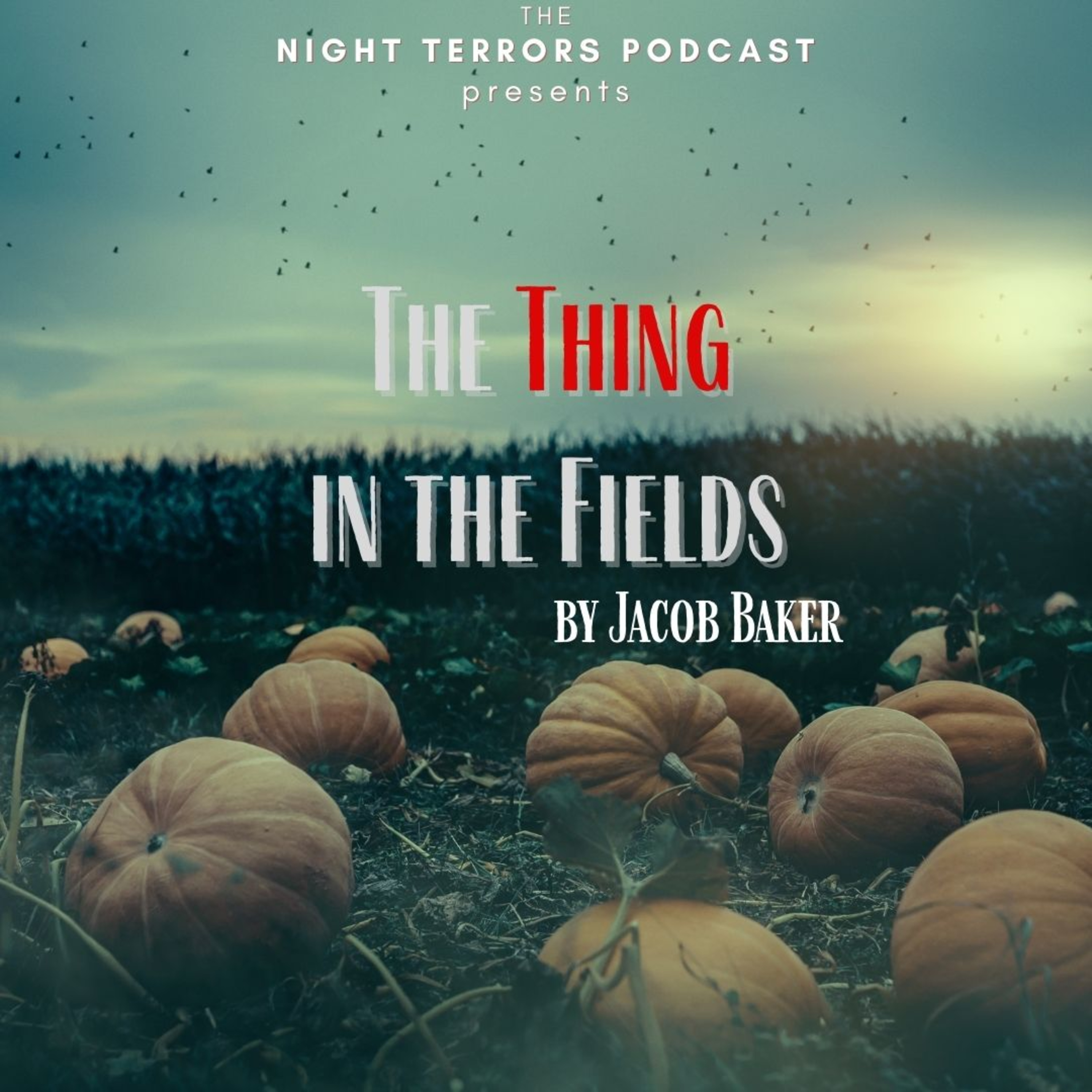 The Night Terrors Podcast