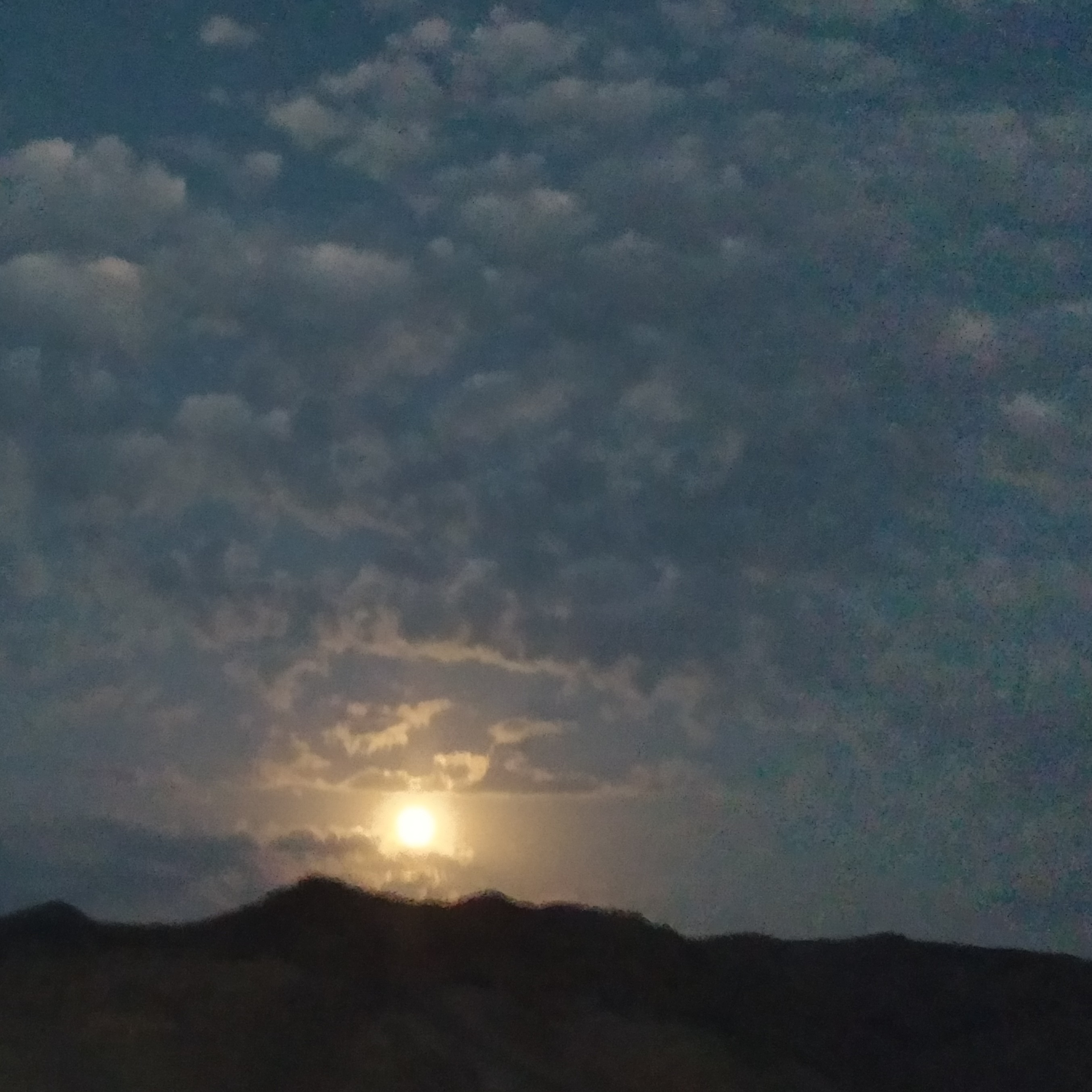 کاور ۱