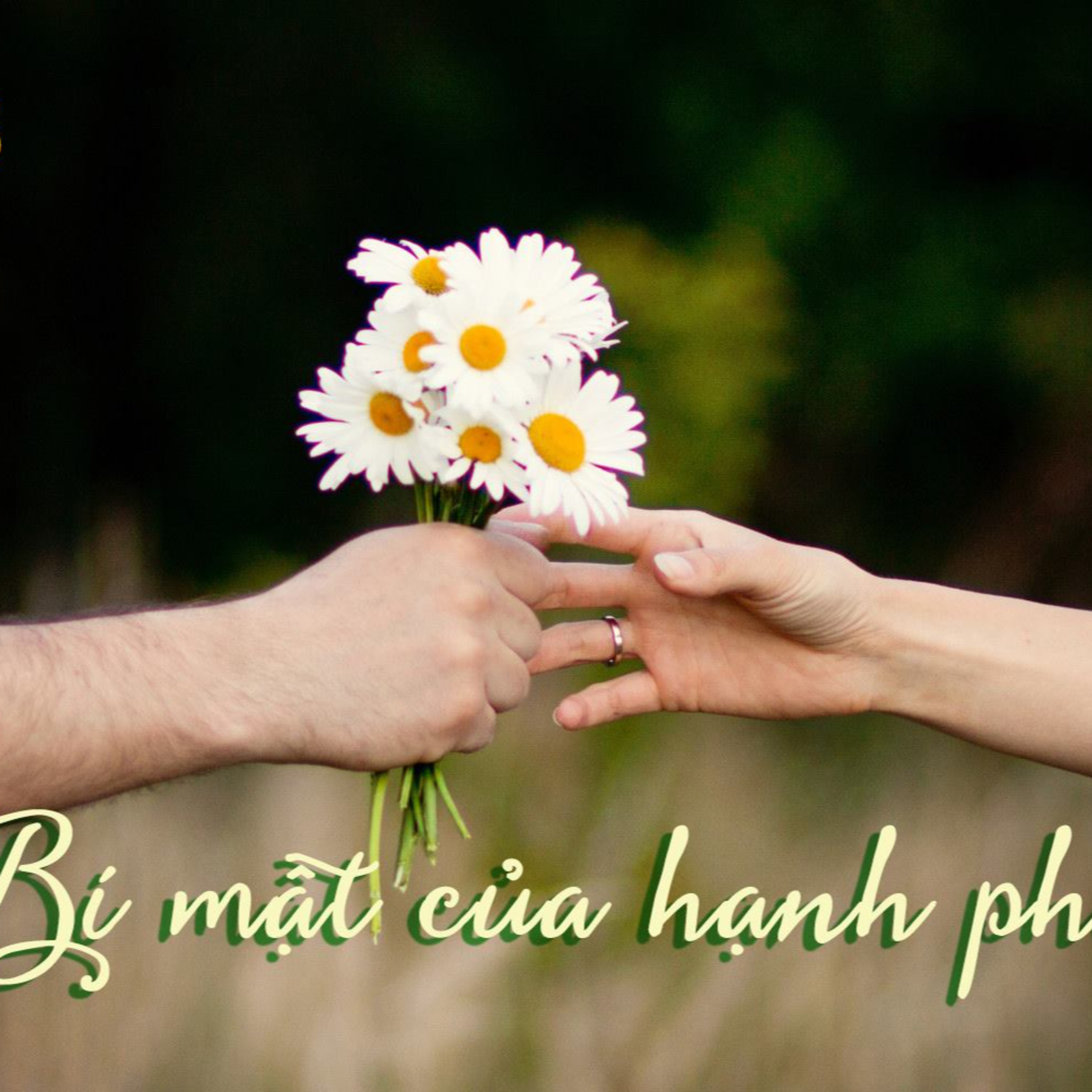 FFRADIO - Vol 13 - Bí mật của hạnh phúc episode artwork