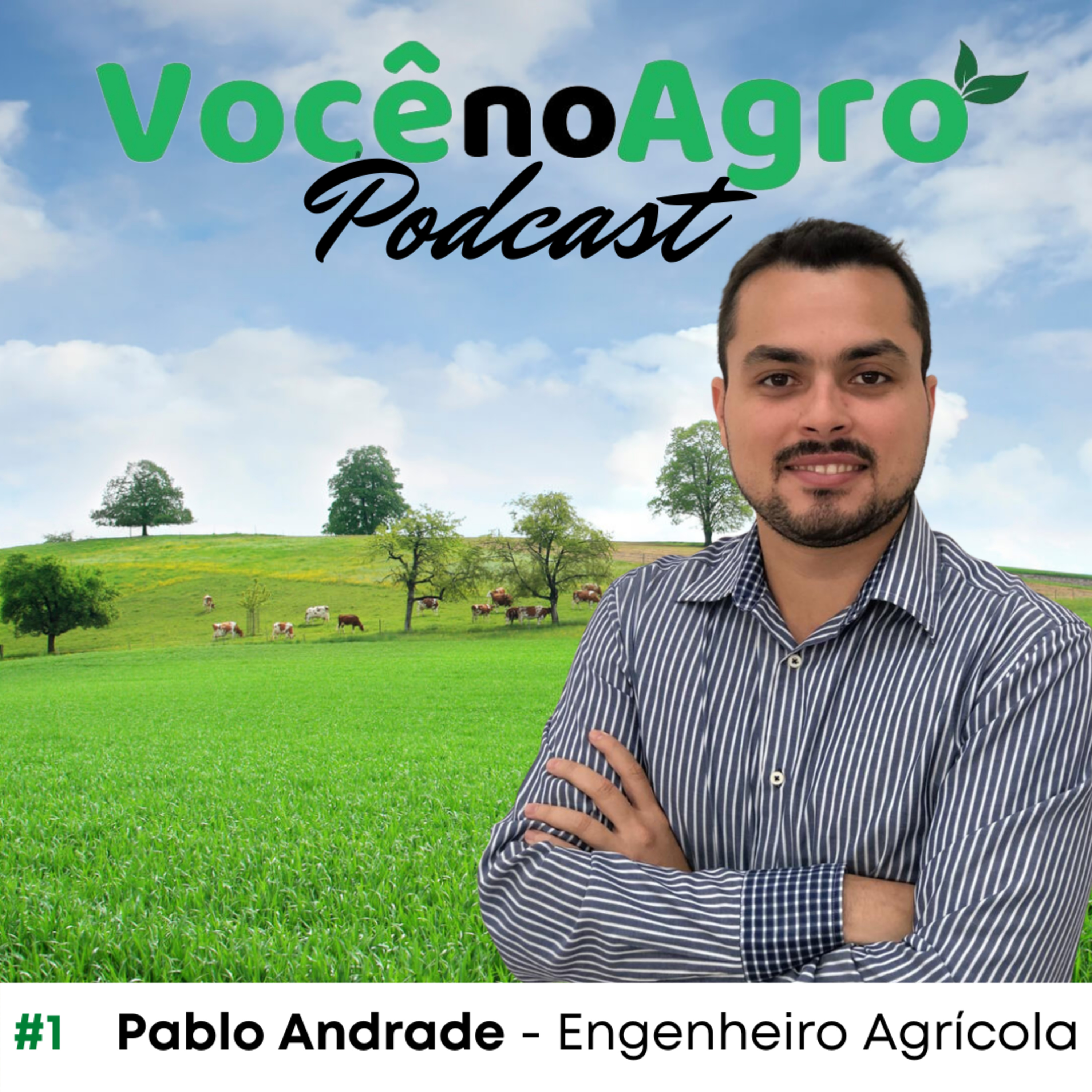 Você no Agro