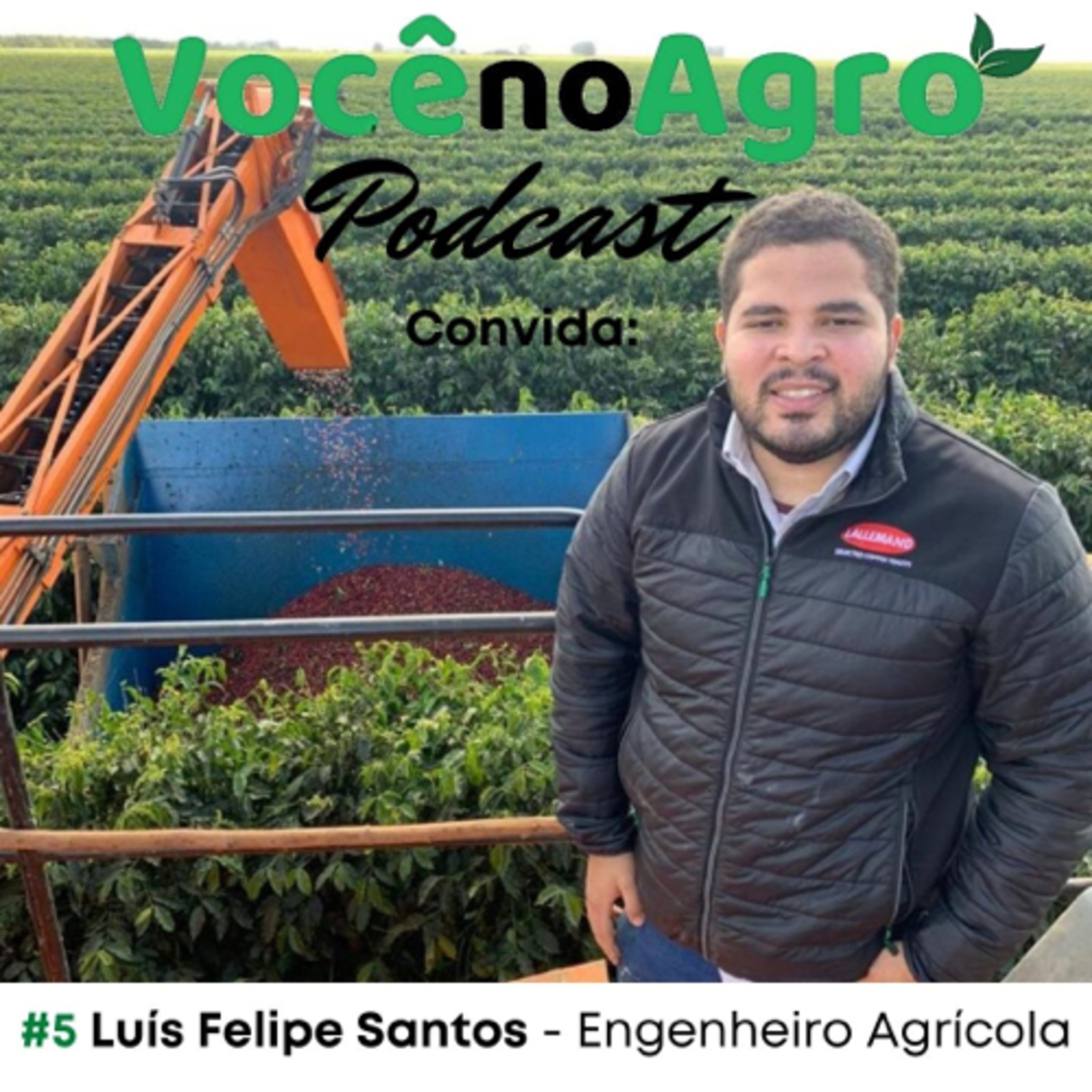 Você no Agro