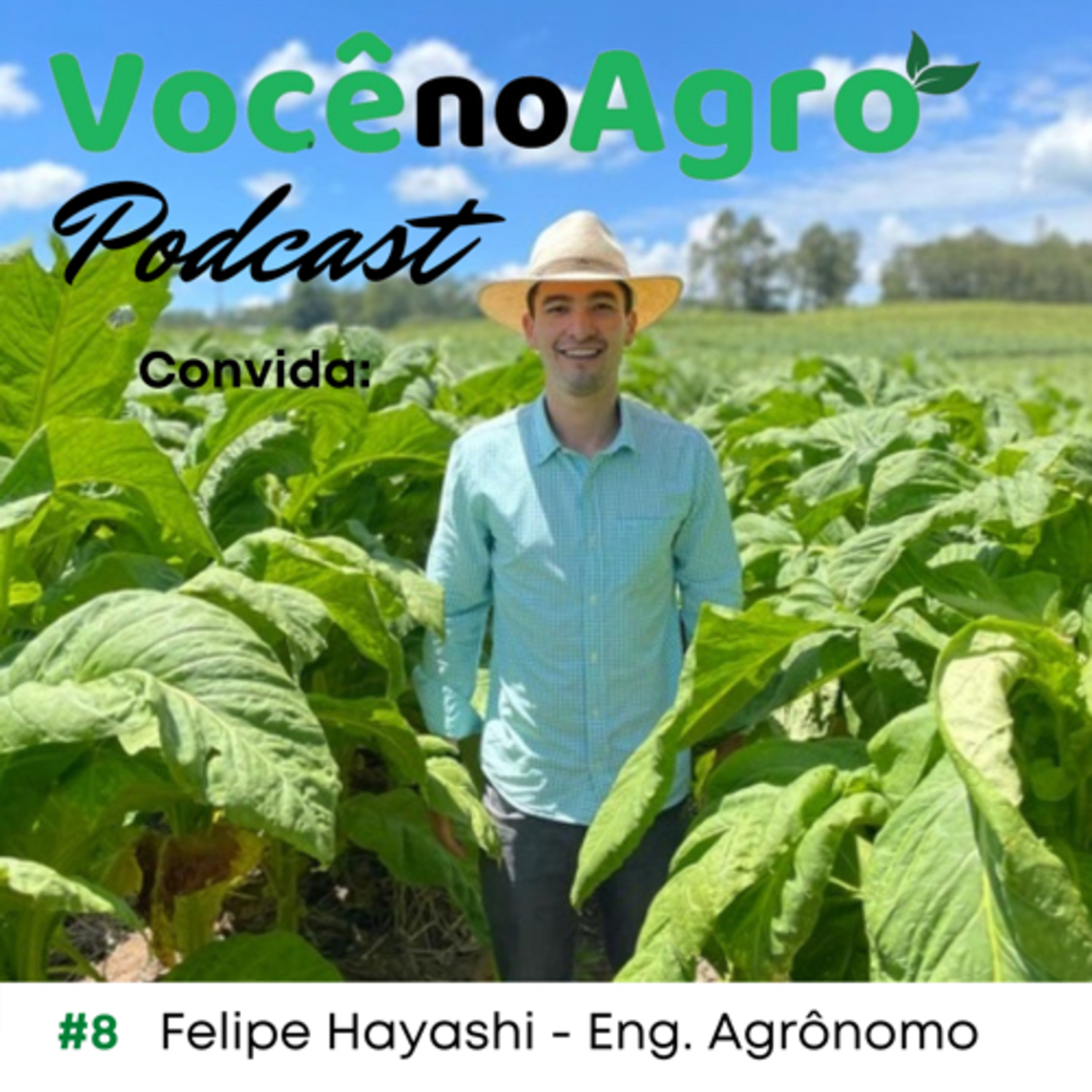 Você no Agro