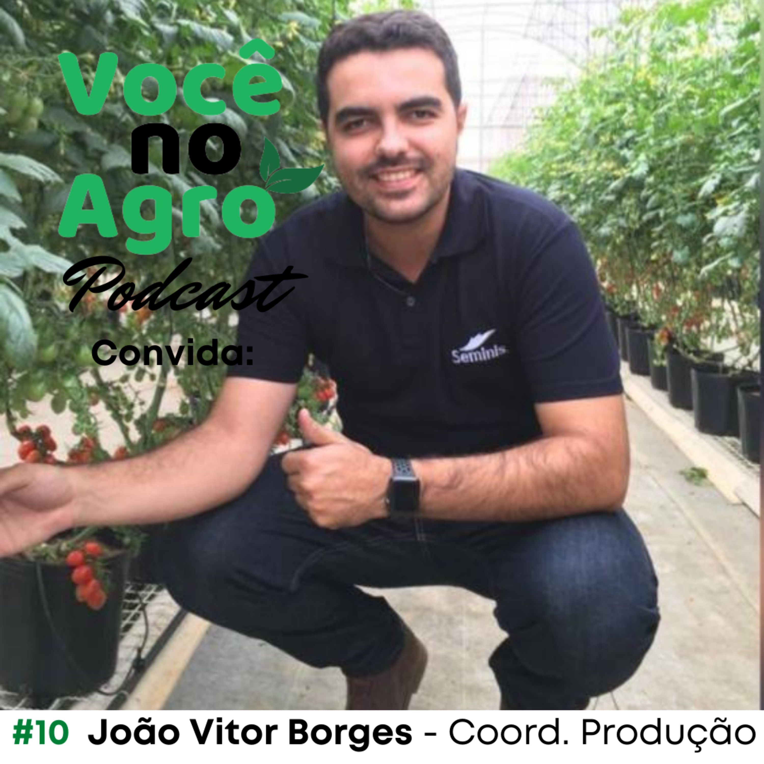 Você no Agro