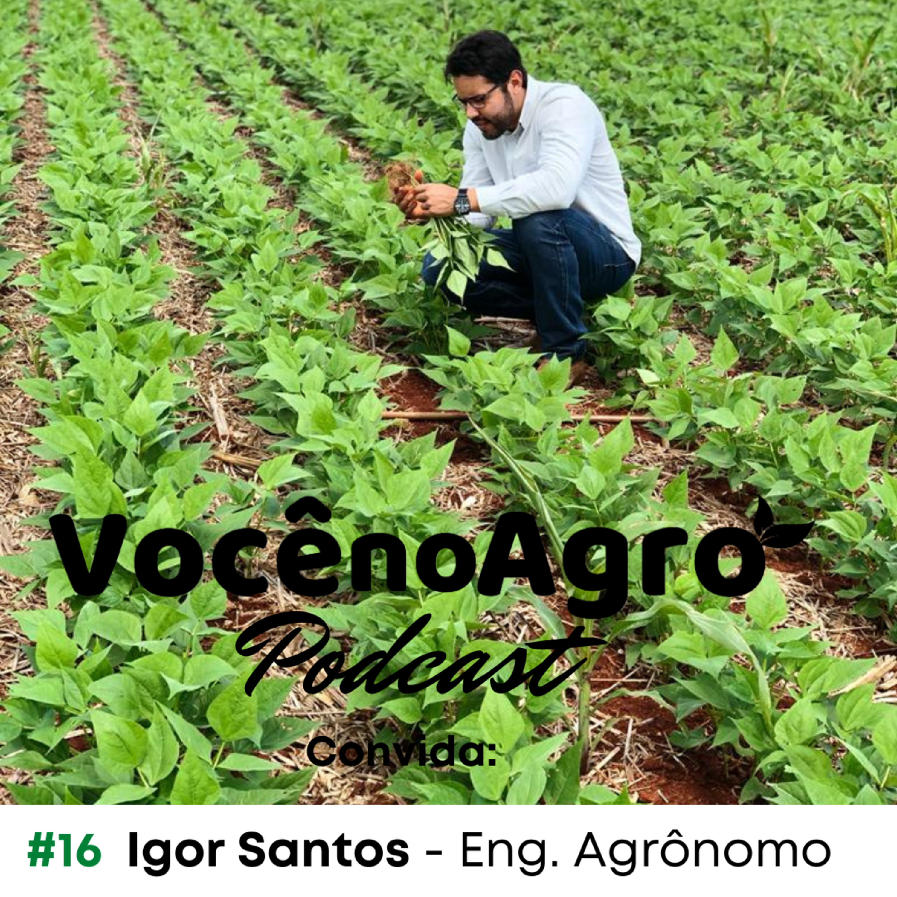 Você no Agro