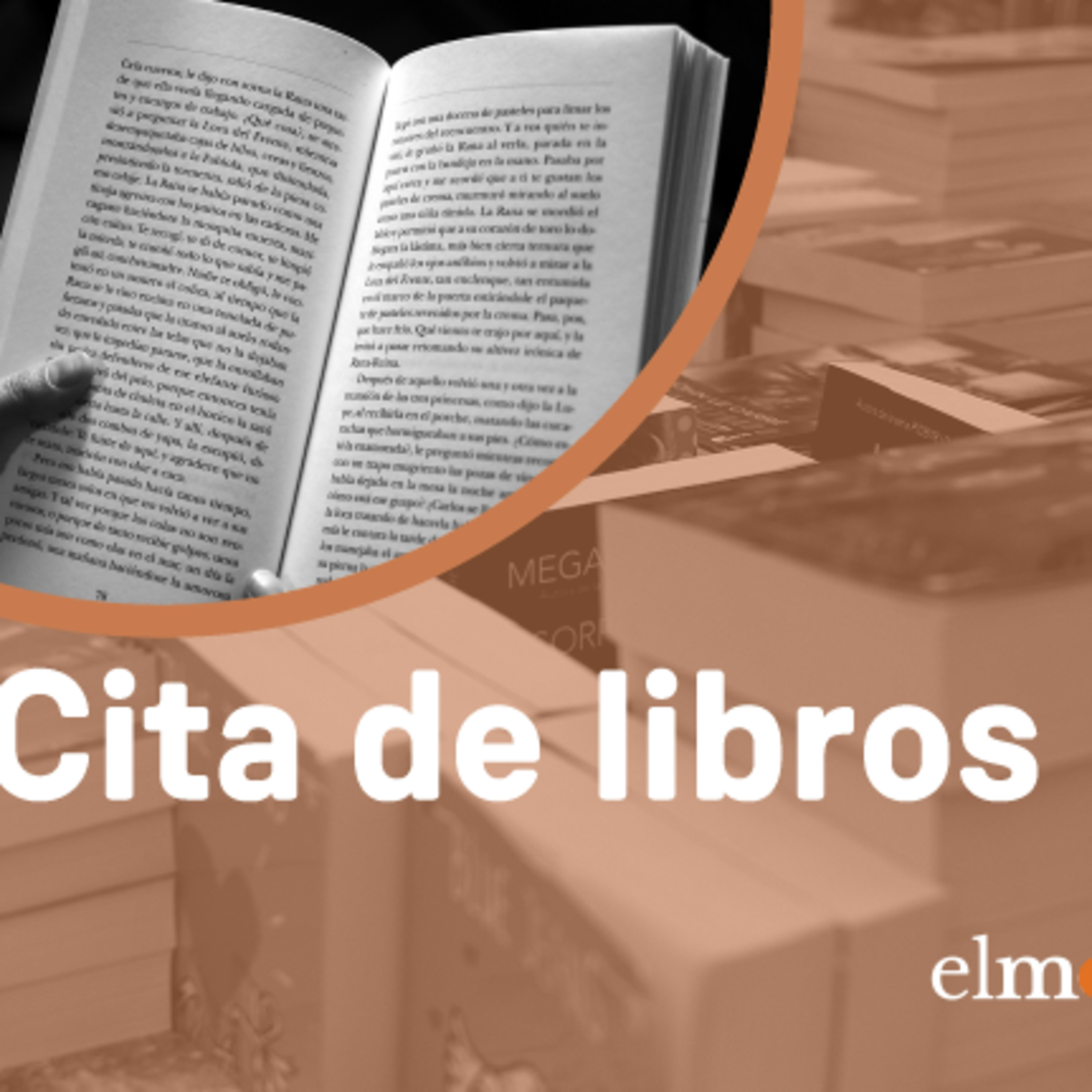 Cita de libros: "El sol tiene color papaya", ¿hasta dónde debe llegar una relación entre profesor y alumna? episode artwork