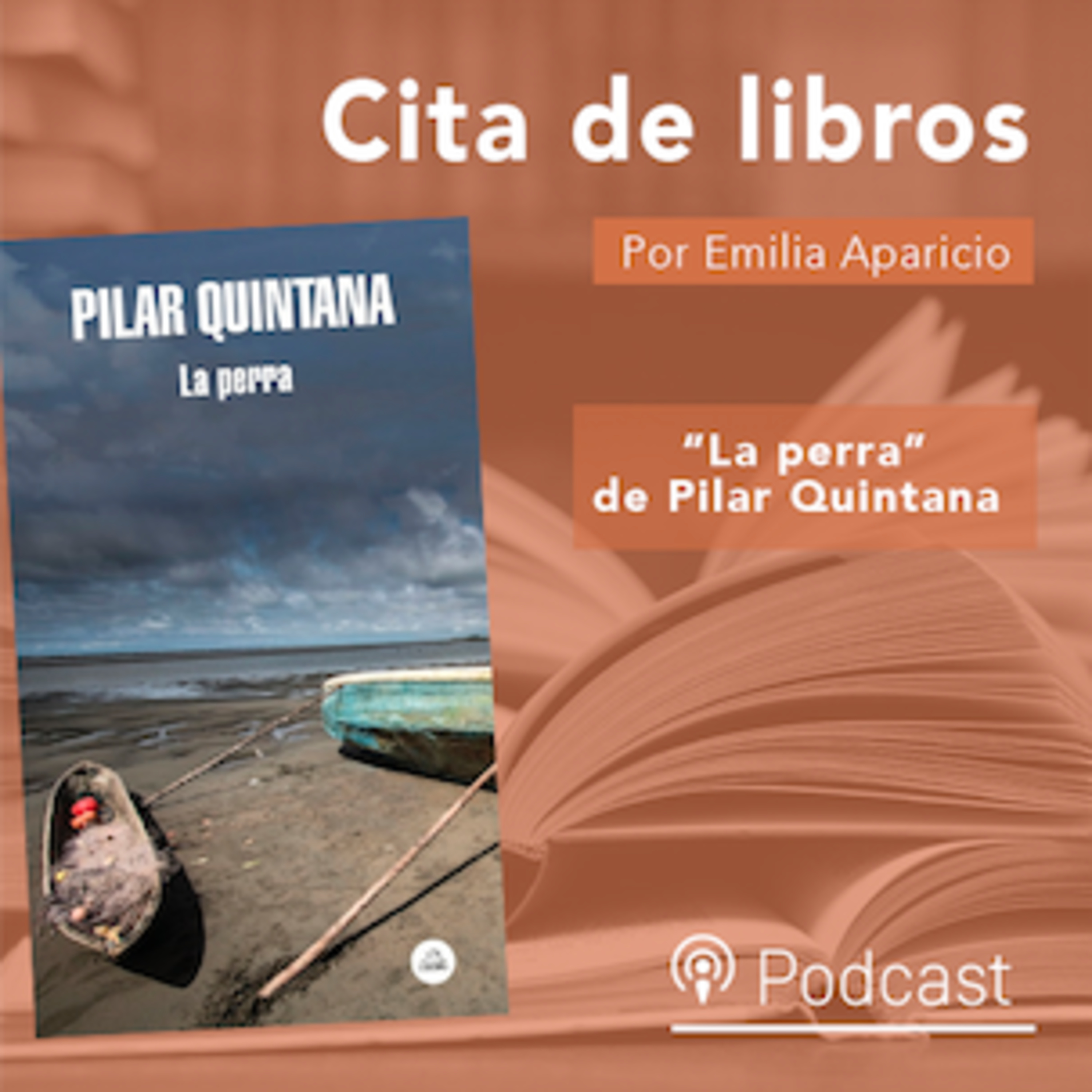 Cita de libros