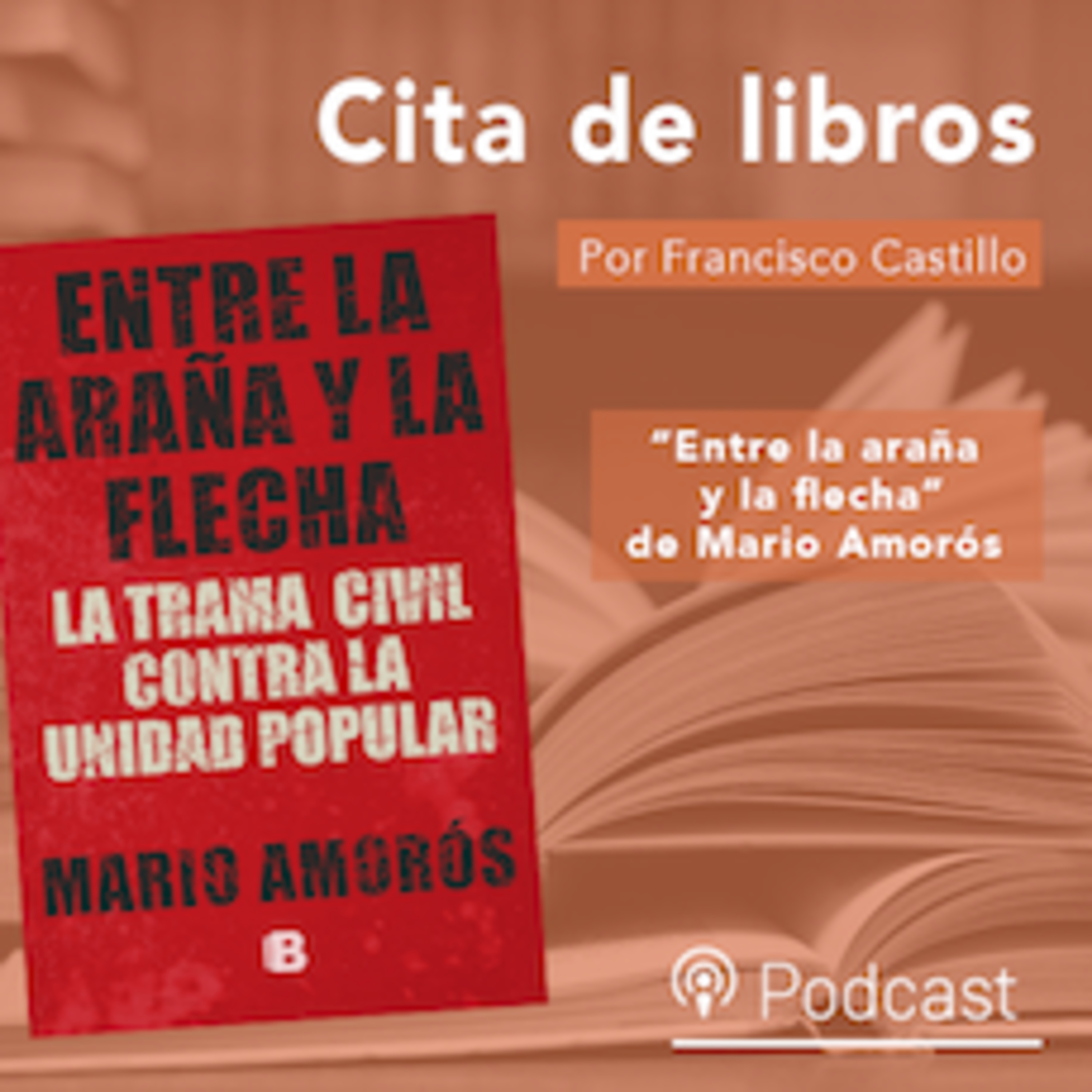Cita de libros: "Entre la araña y la flecha", los generales civiles detrás del Golpe episode artwork