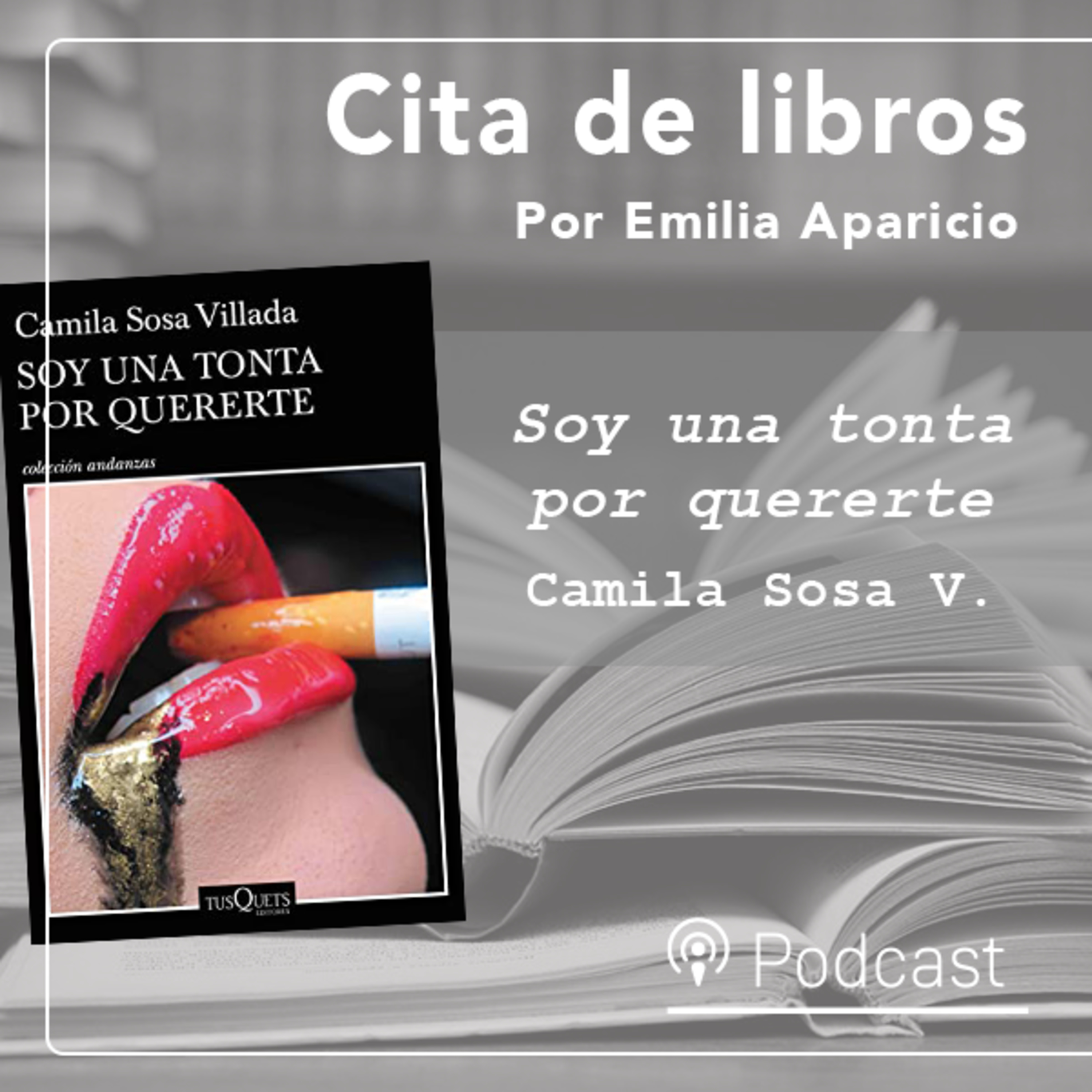 Cita de libros: Personajes marginados históricamente y sexualidad son los tópicos del nuevo libro de la escritora argentina Camila Sosa Villada episode artwork