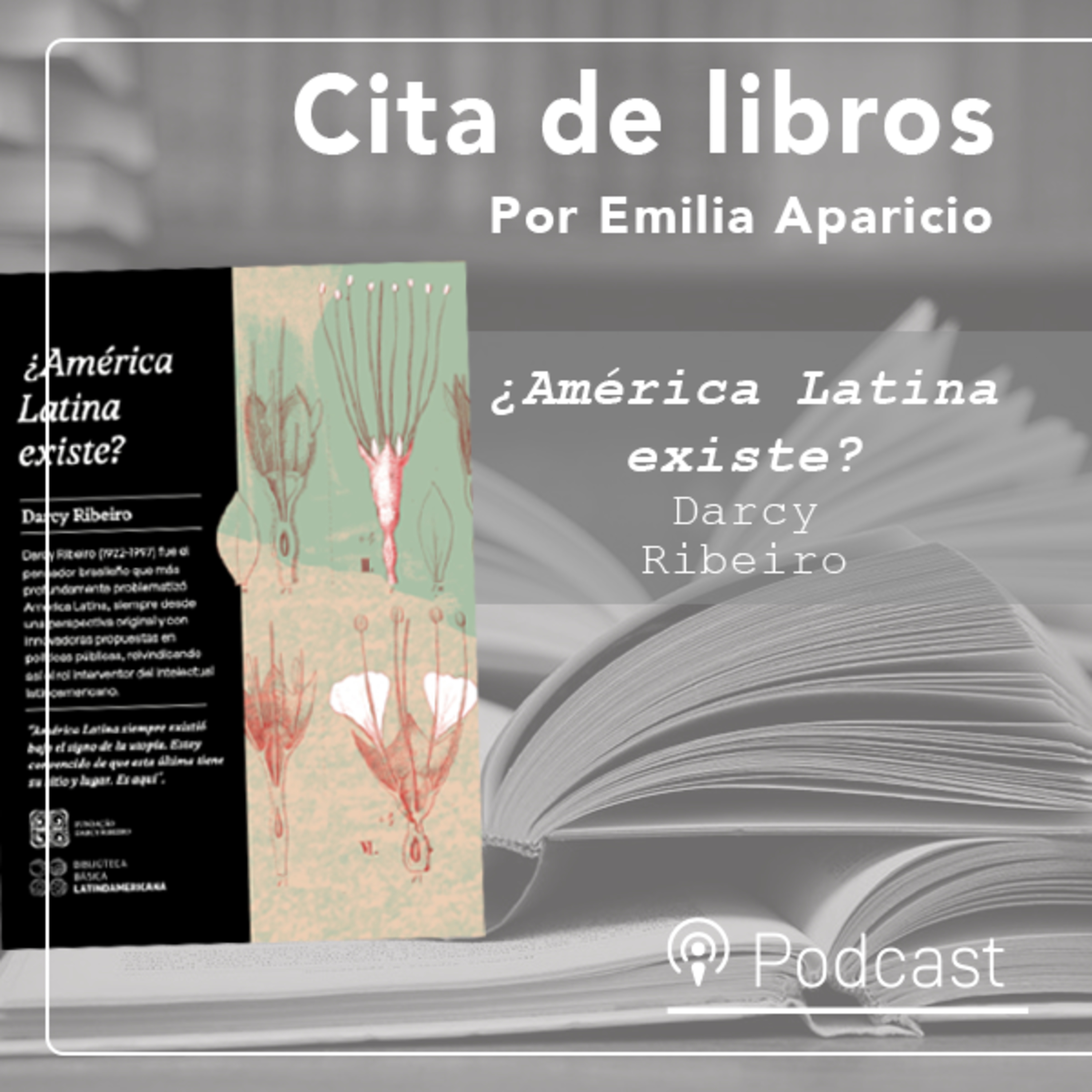 Cita de libros